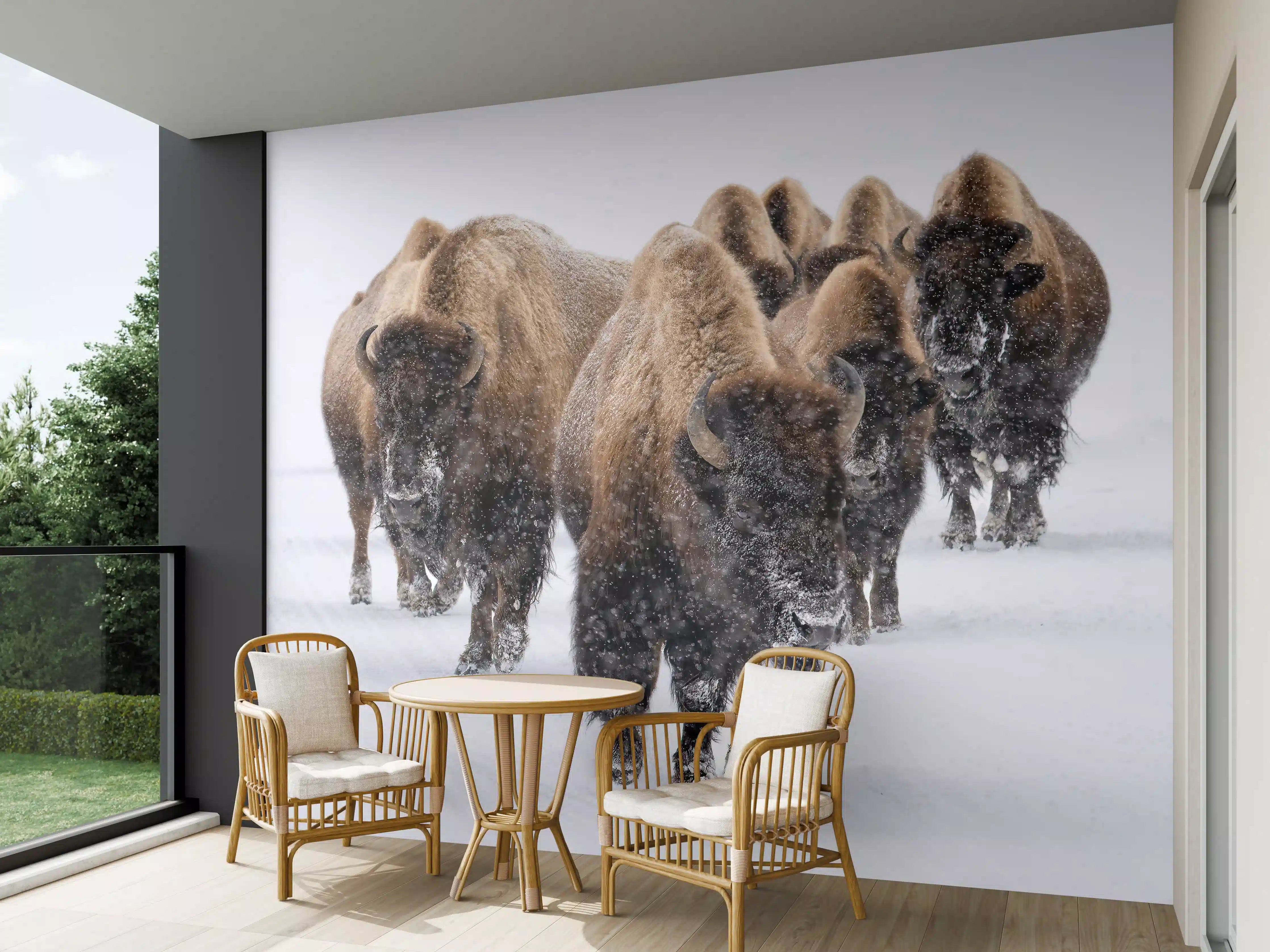 Wandverkleidung außen - Eine Bison Herde