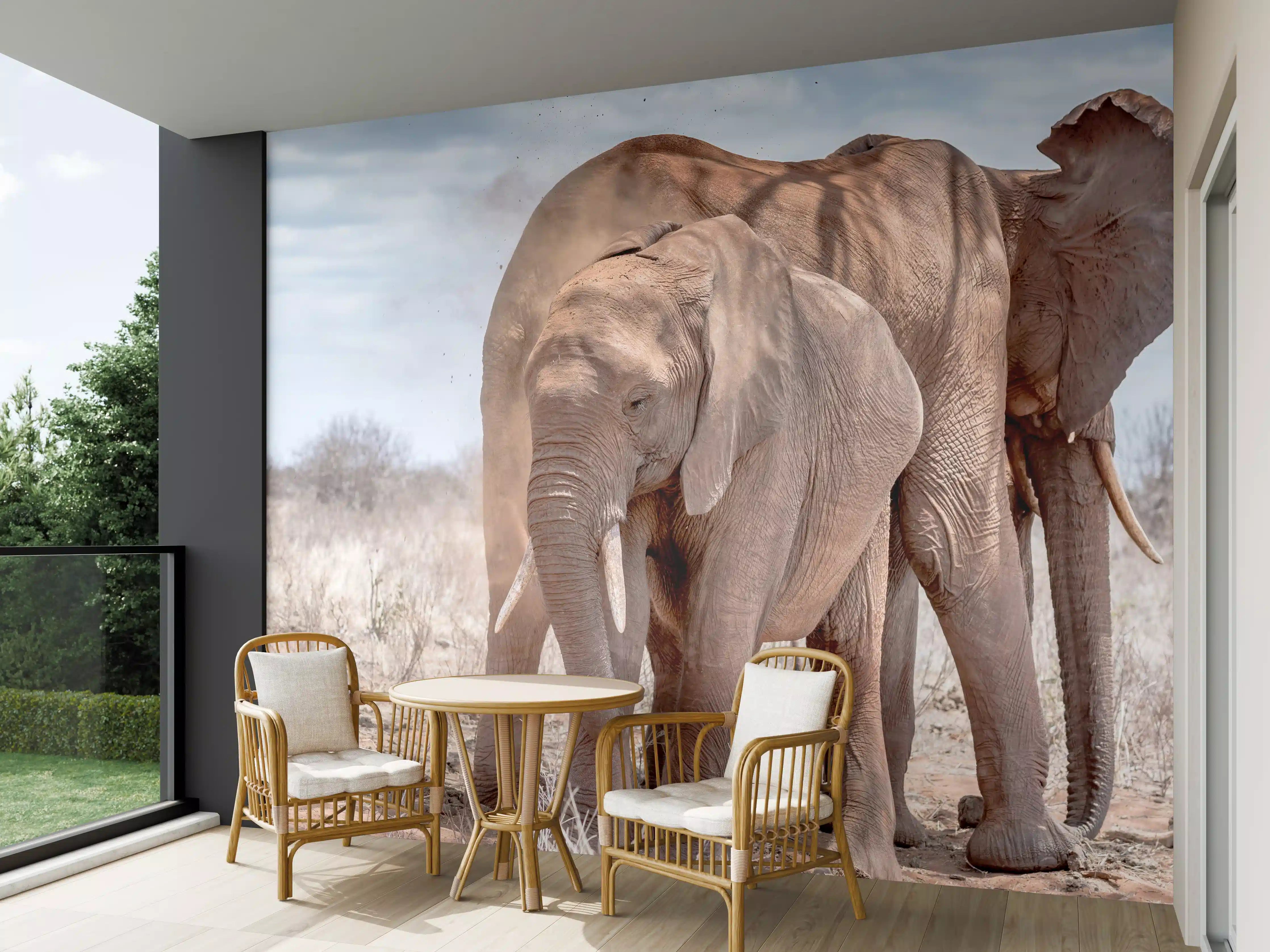 Wandverkleidung außen - Elefanten von Tsavo