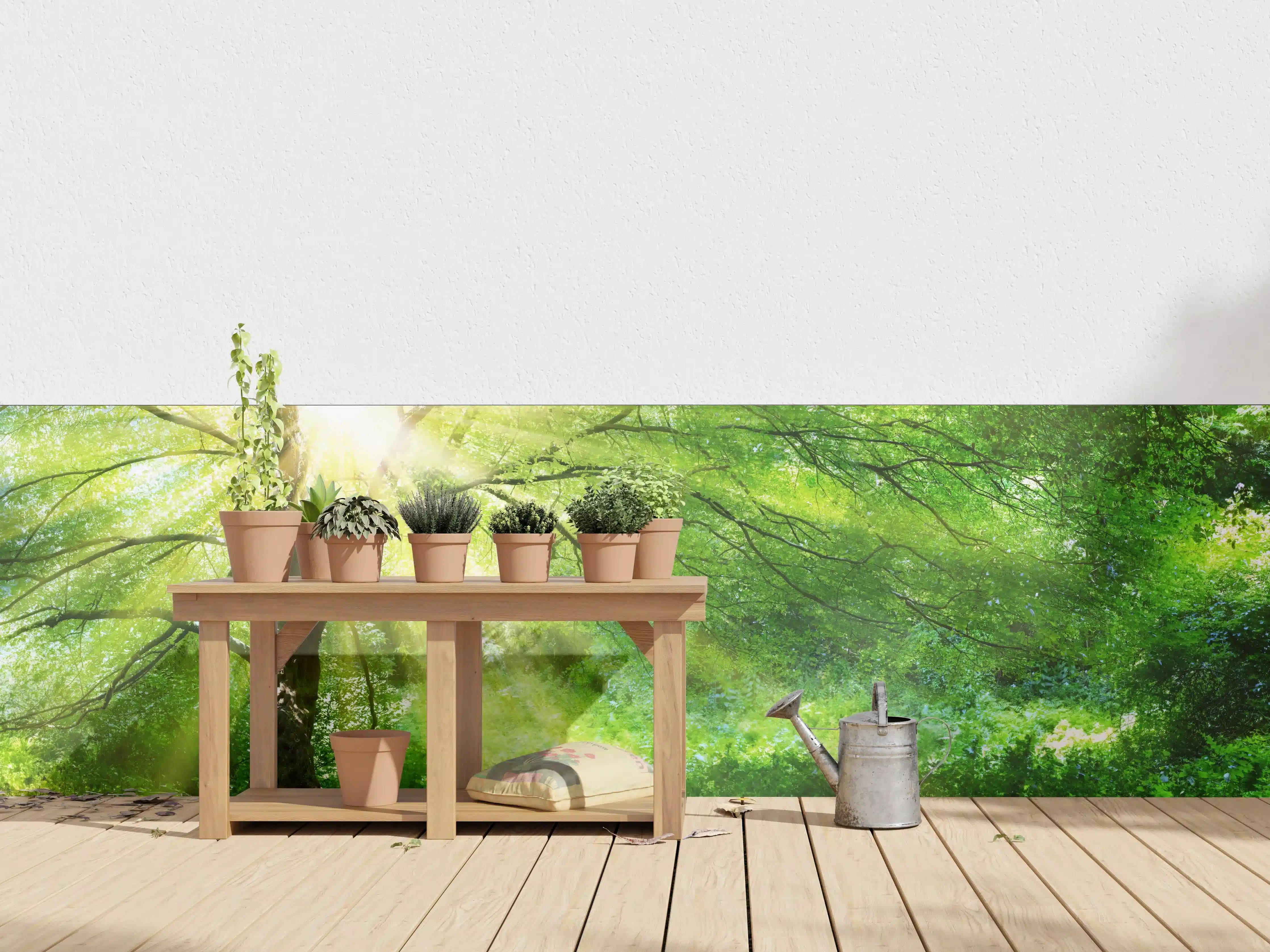 Wandverkleidung außen - Energiegeladener Wald