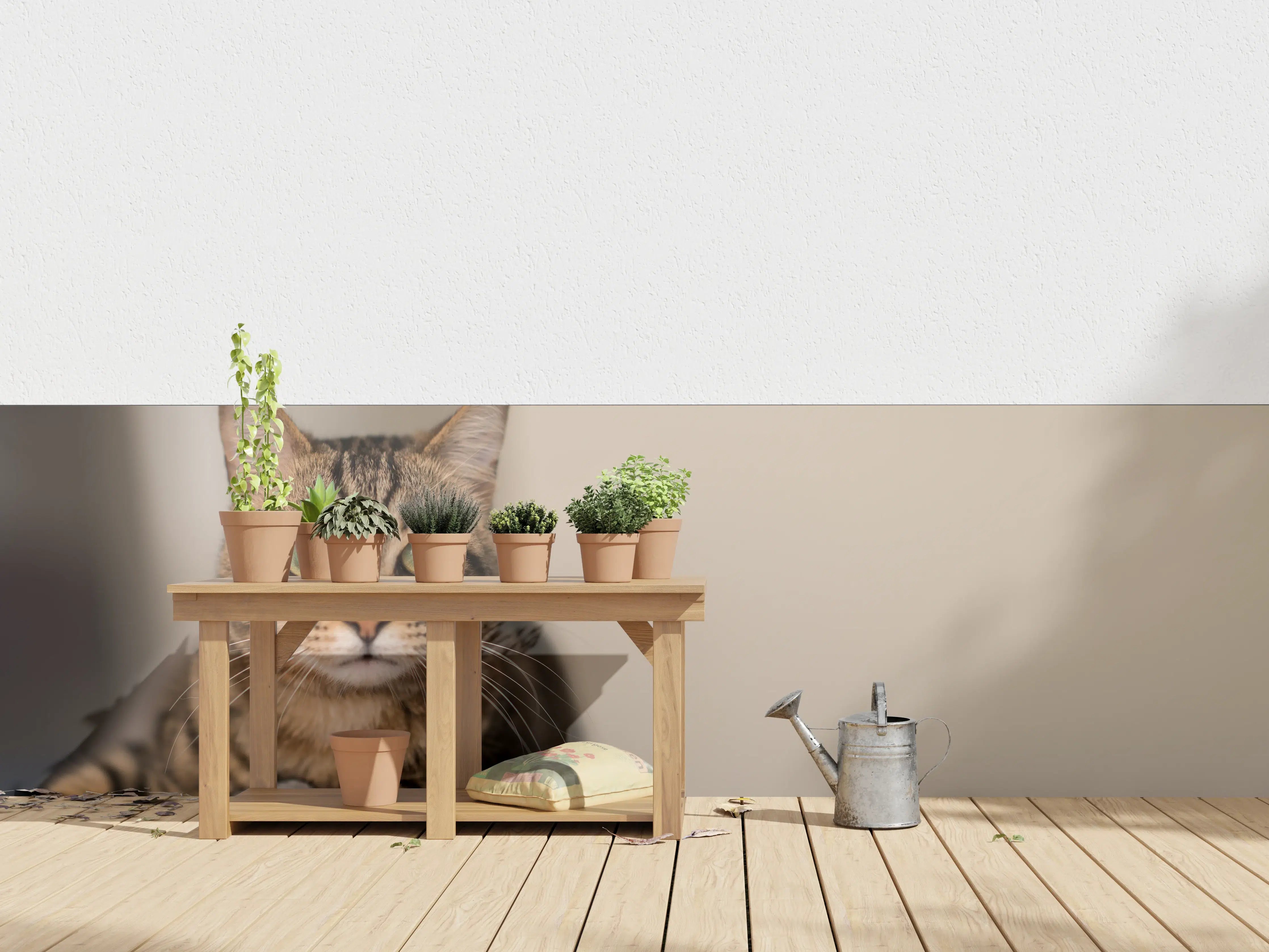 Wandverkleidung außen - Entspannte Hauskatze in Beige-Braun