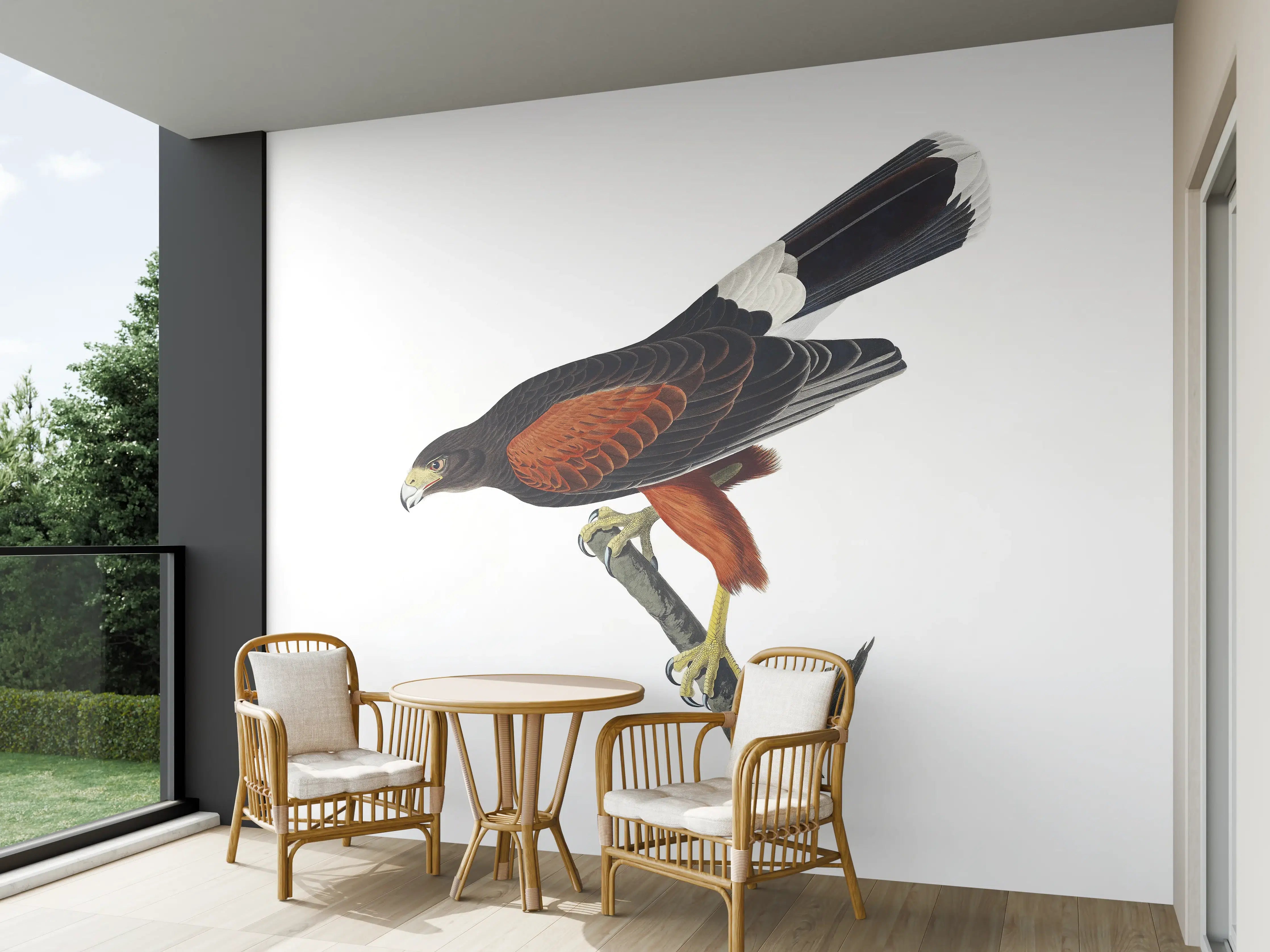 Wandverkleidung außen - Falken Portrait - John James Audubon