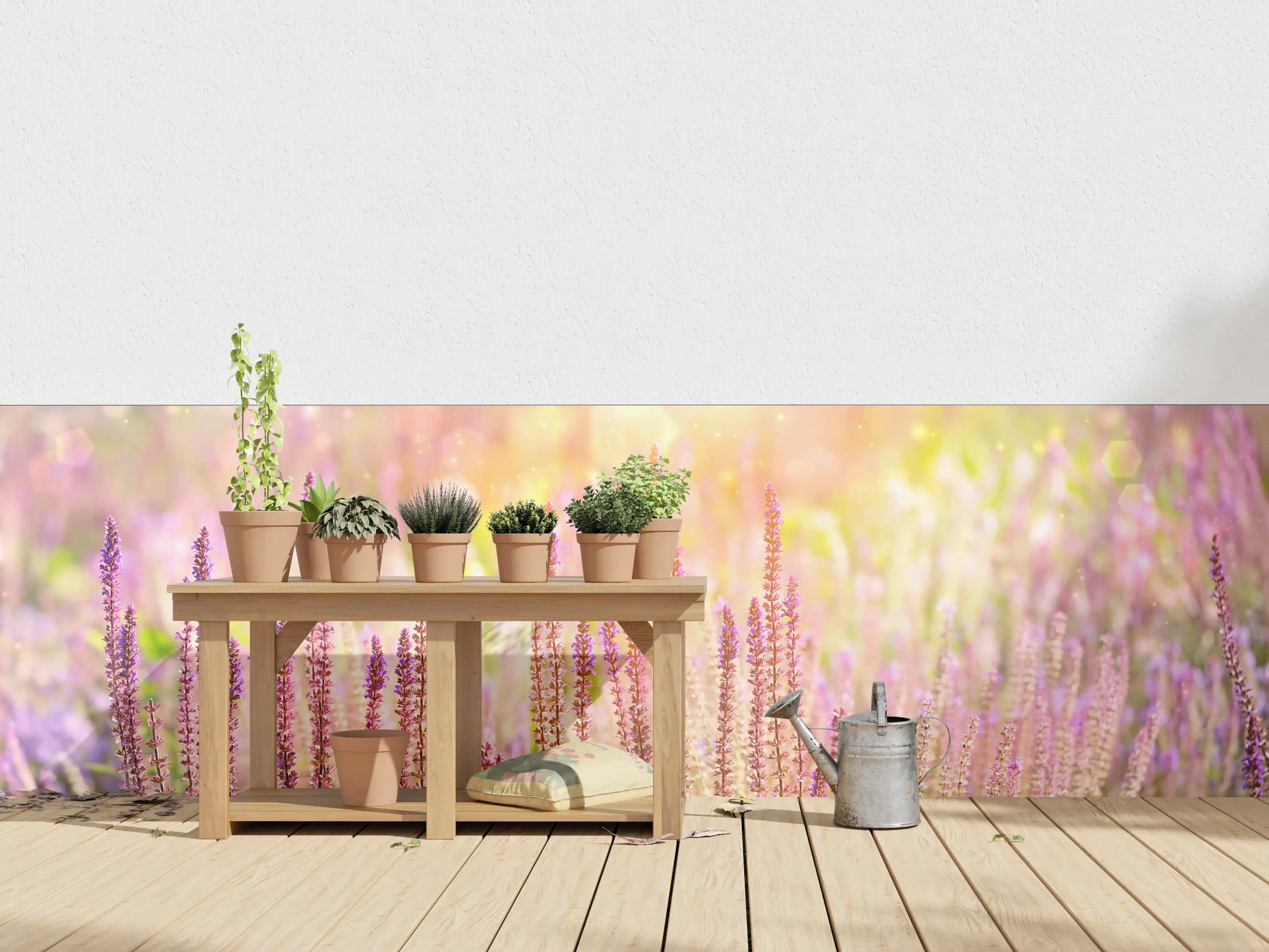 Wandverkleidung außen - Farbenfrohe Blüten der Ziersalbei-Pflanzen
