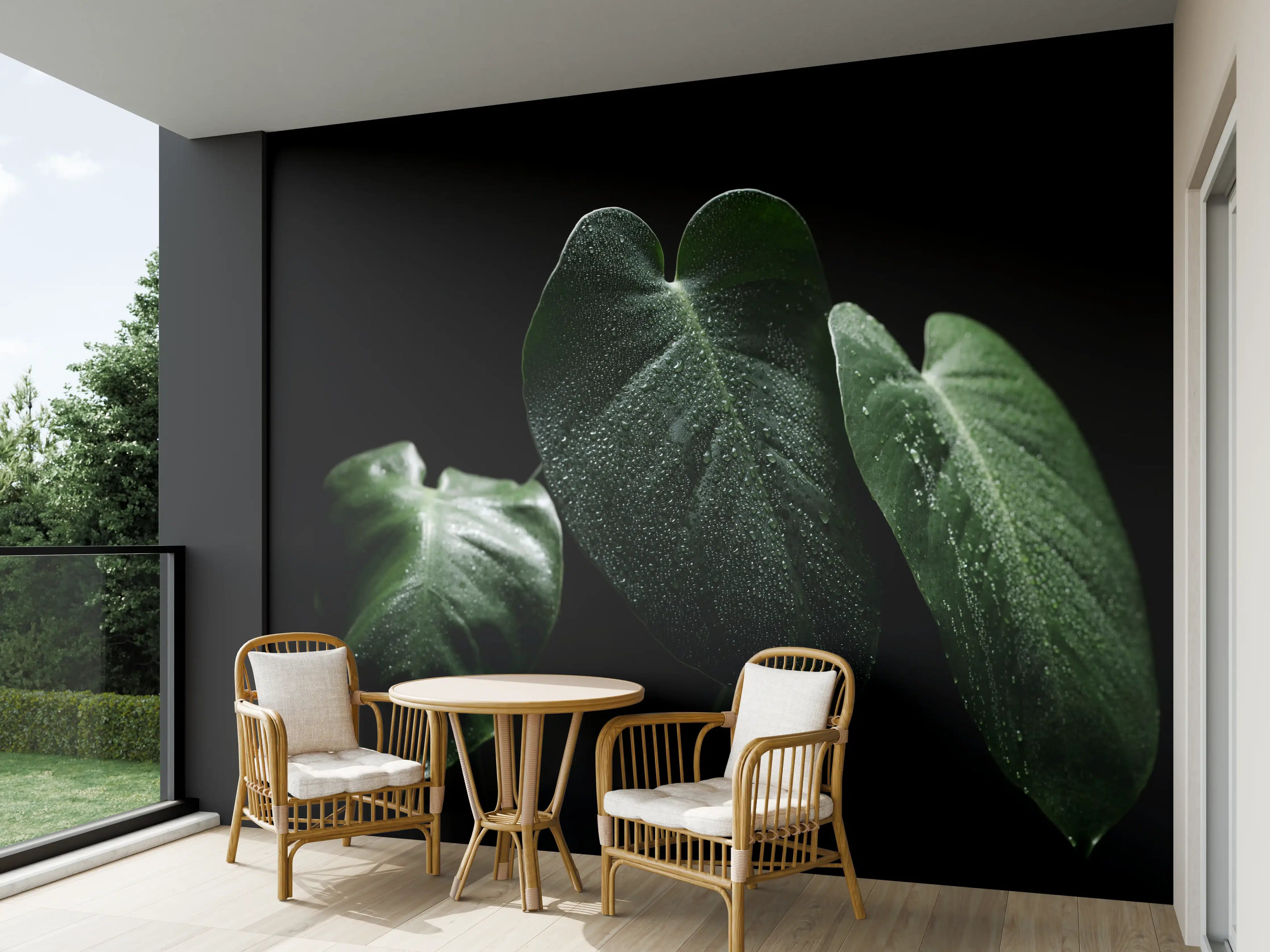 Wandverkleidung außen - Feuchtes Blatt auf schwarzem Hintergrund