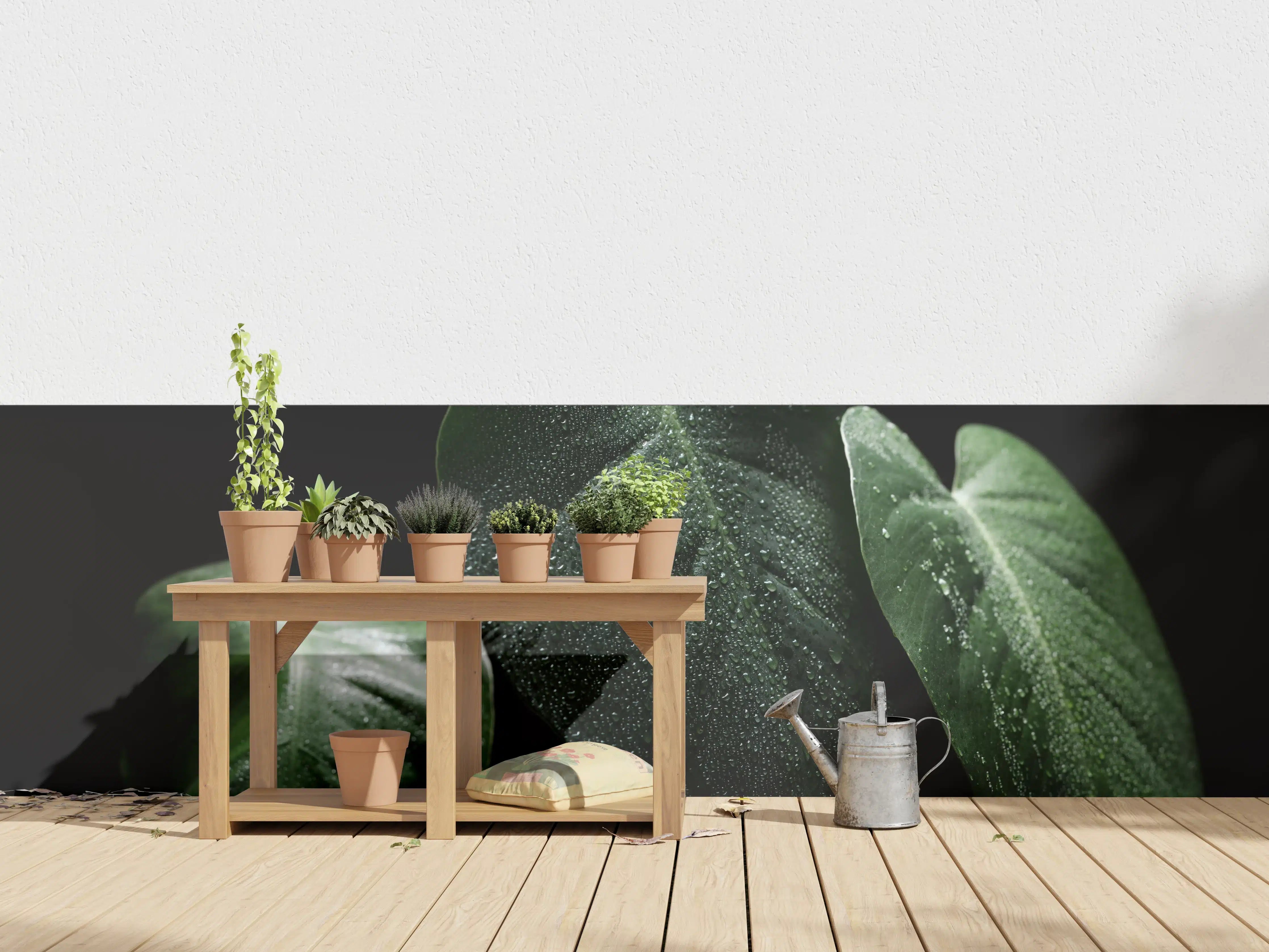 Wandverkleidung außen - Feuchtes Blatt auf schwarzem Hintergrund