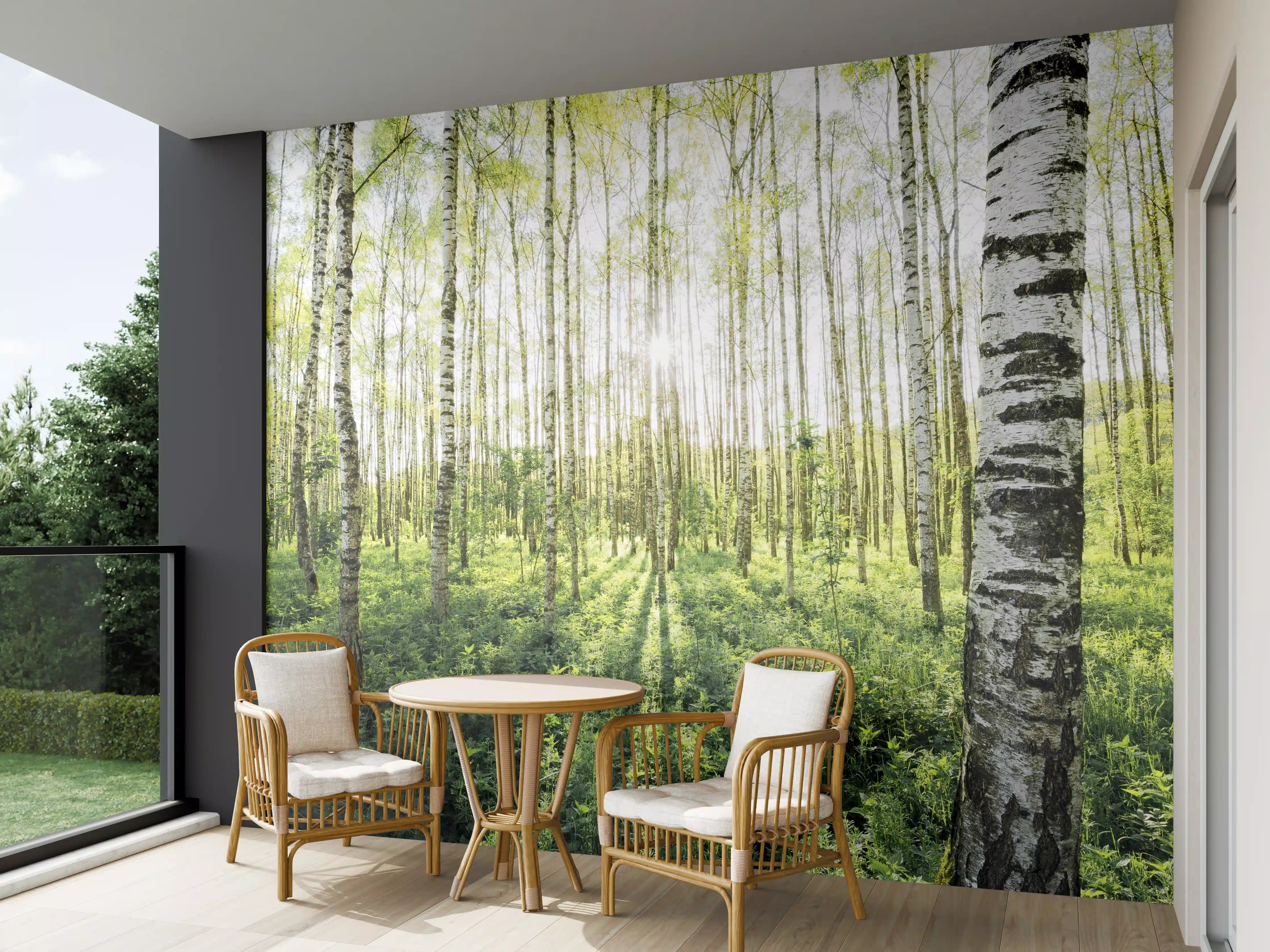 Wandverkleidung außen - Frühlings-Birkenwald Lichtspiel
