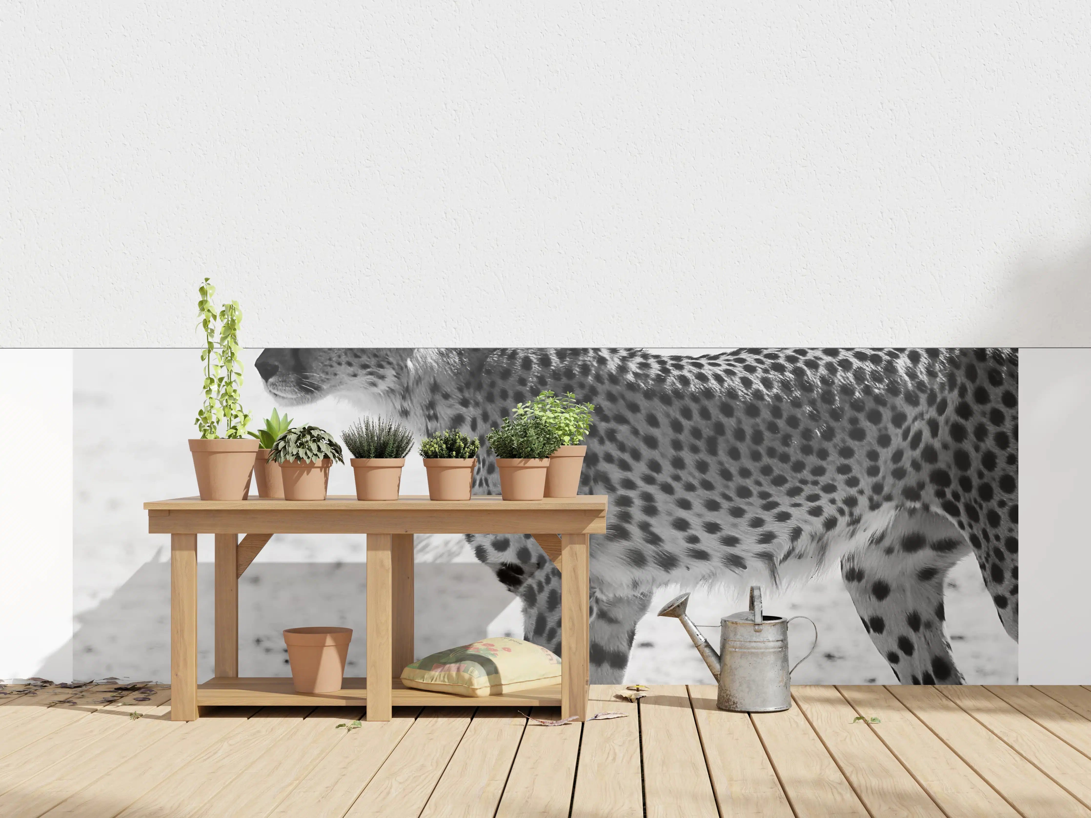 Wandverkleidung außen - Gepard in Schwarz-Weiß