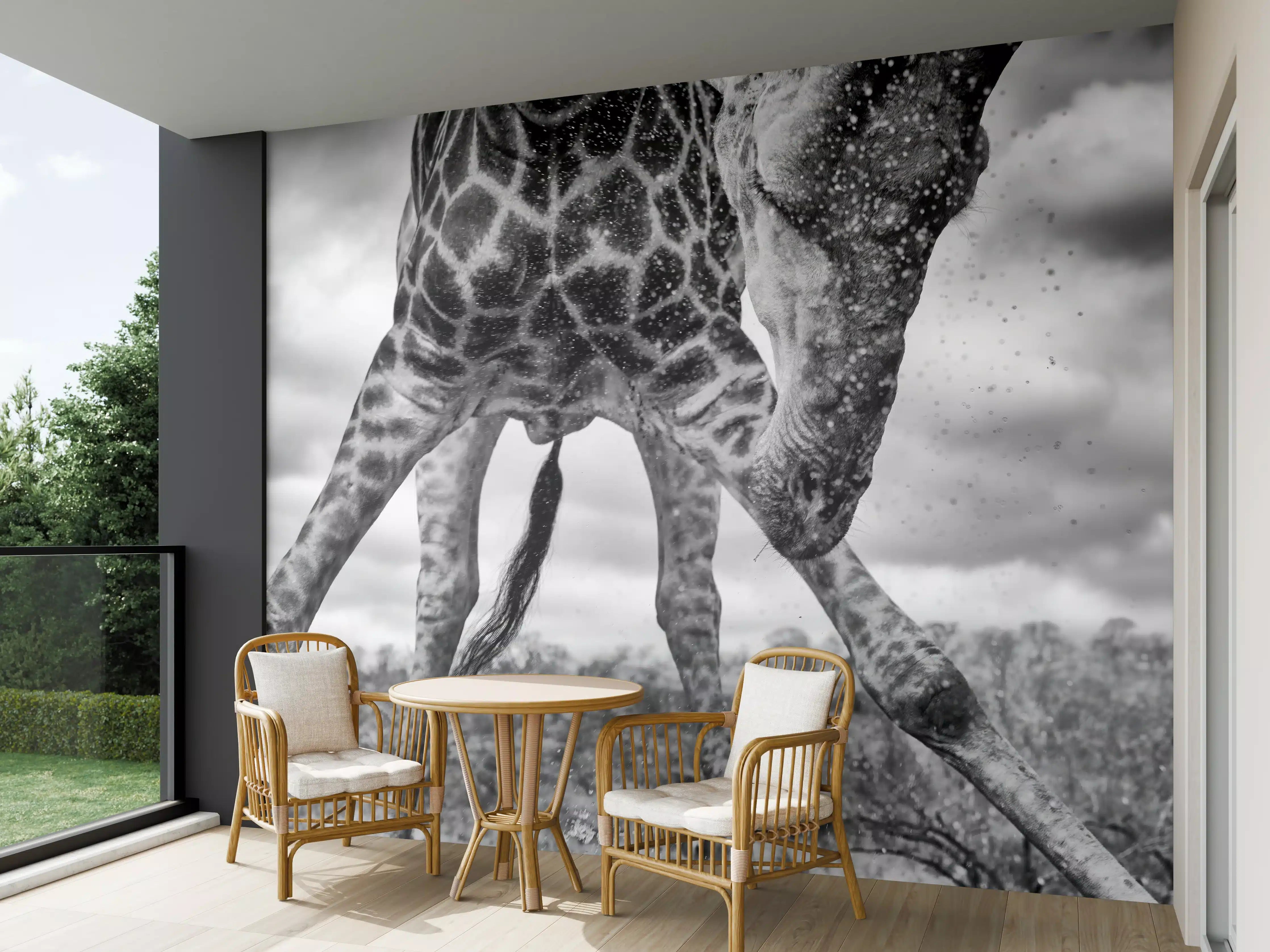 Wandverkleidung außen - Giraffe Schwarz-Weiß Splish