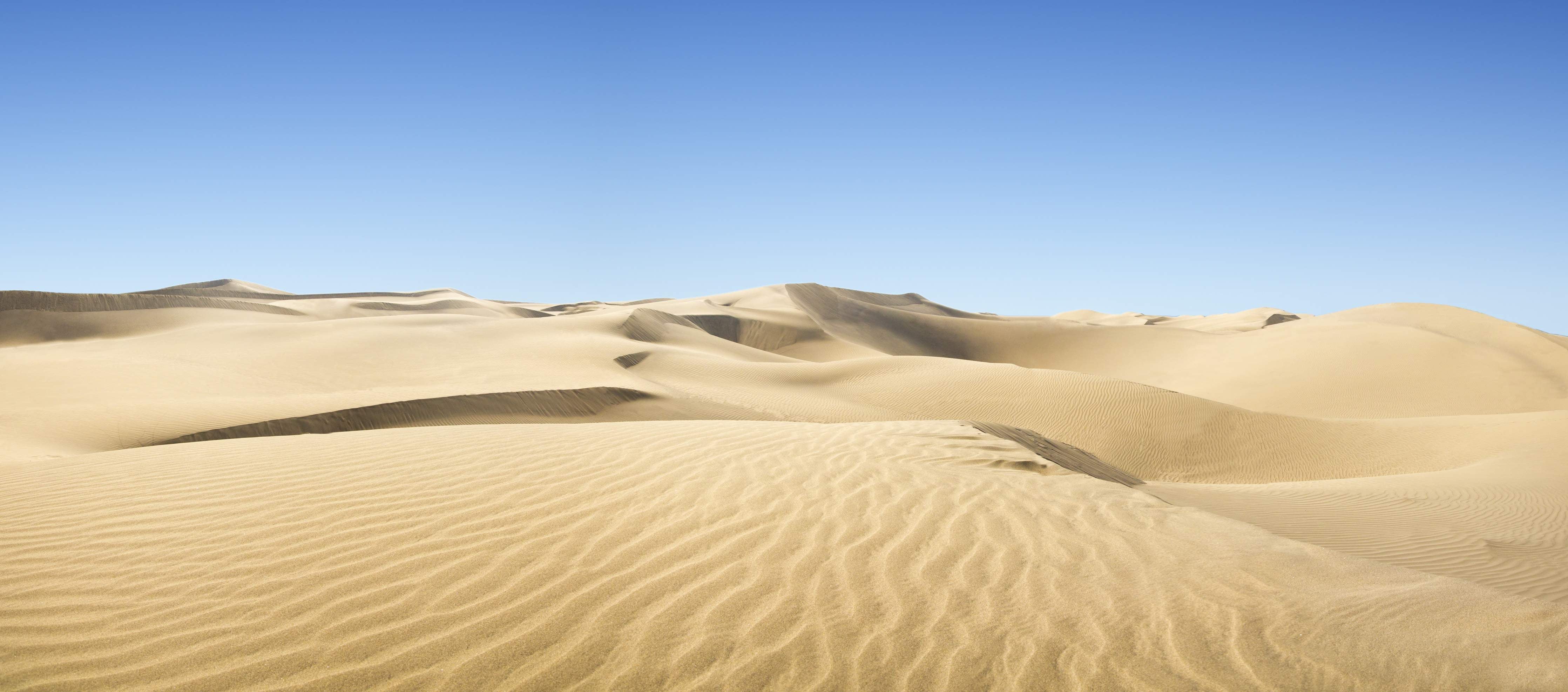 Wandverkleidung außen-Gold desert