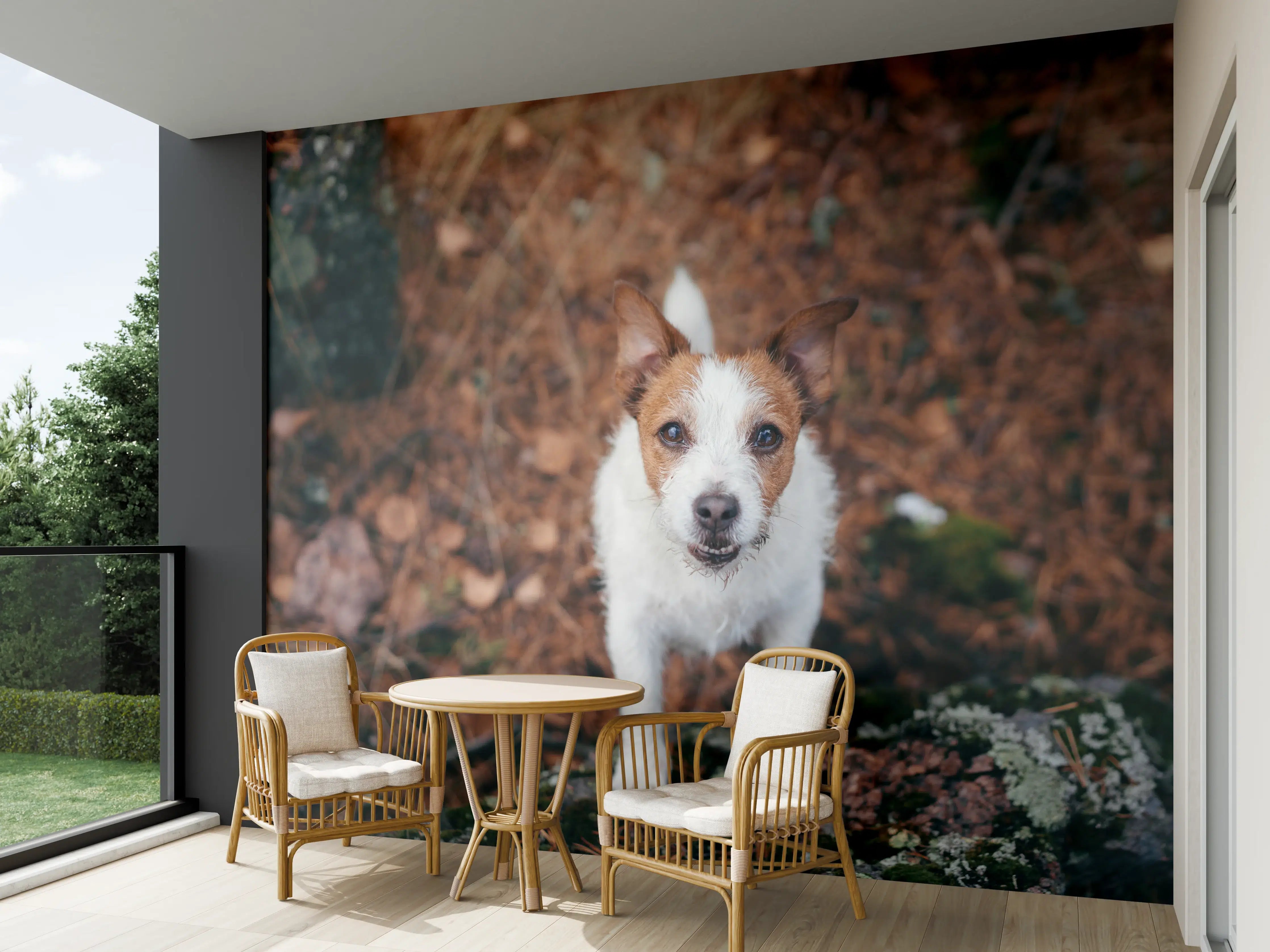 Wandverkleidung außen - Jack Russell im herbstlichen Park