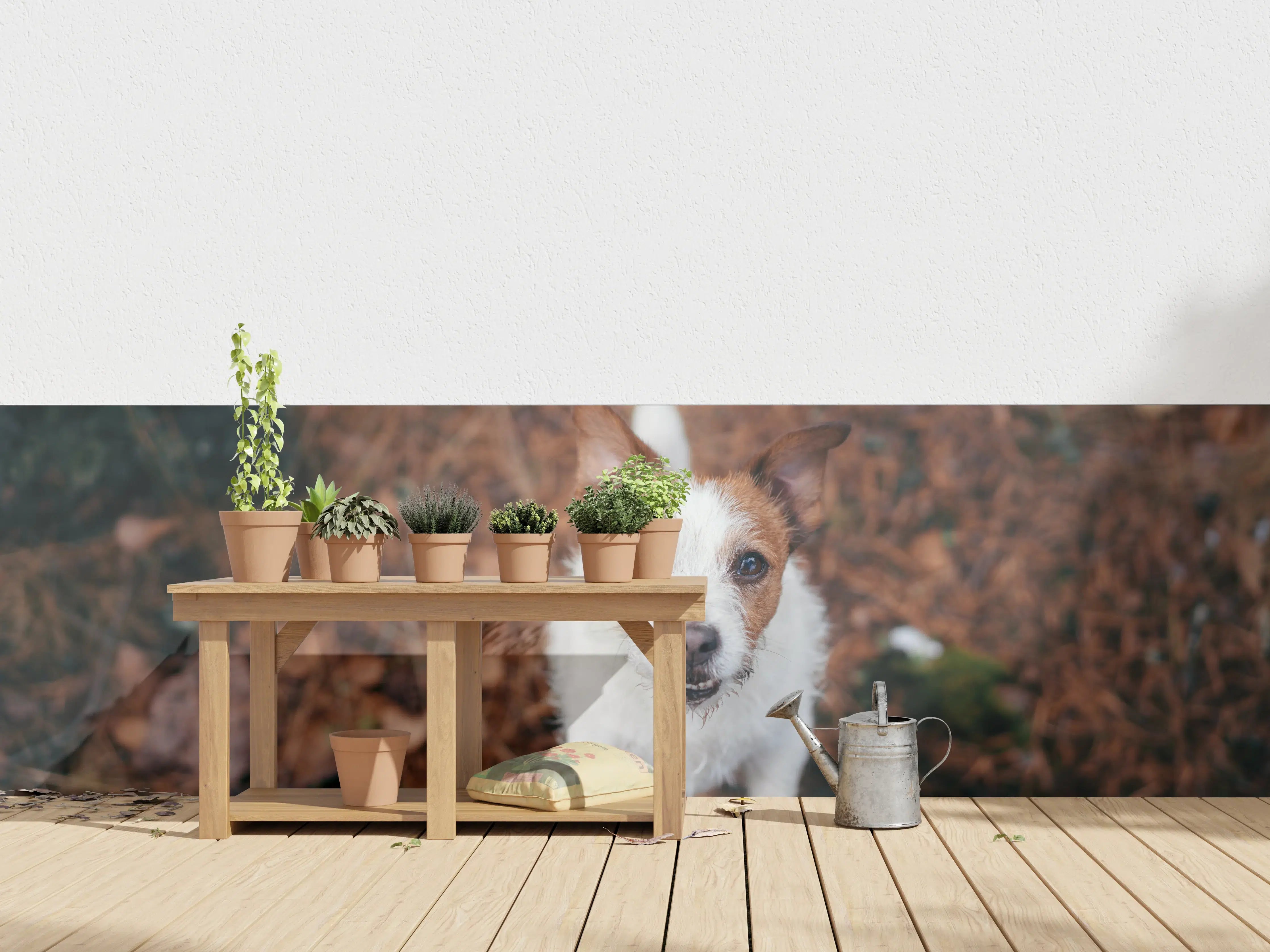 Wandverkleidung außen - Jack Russell im herbstlichen Park