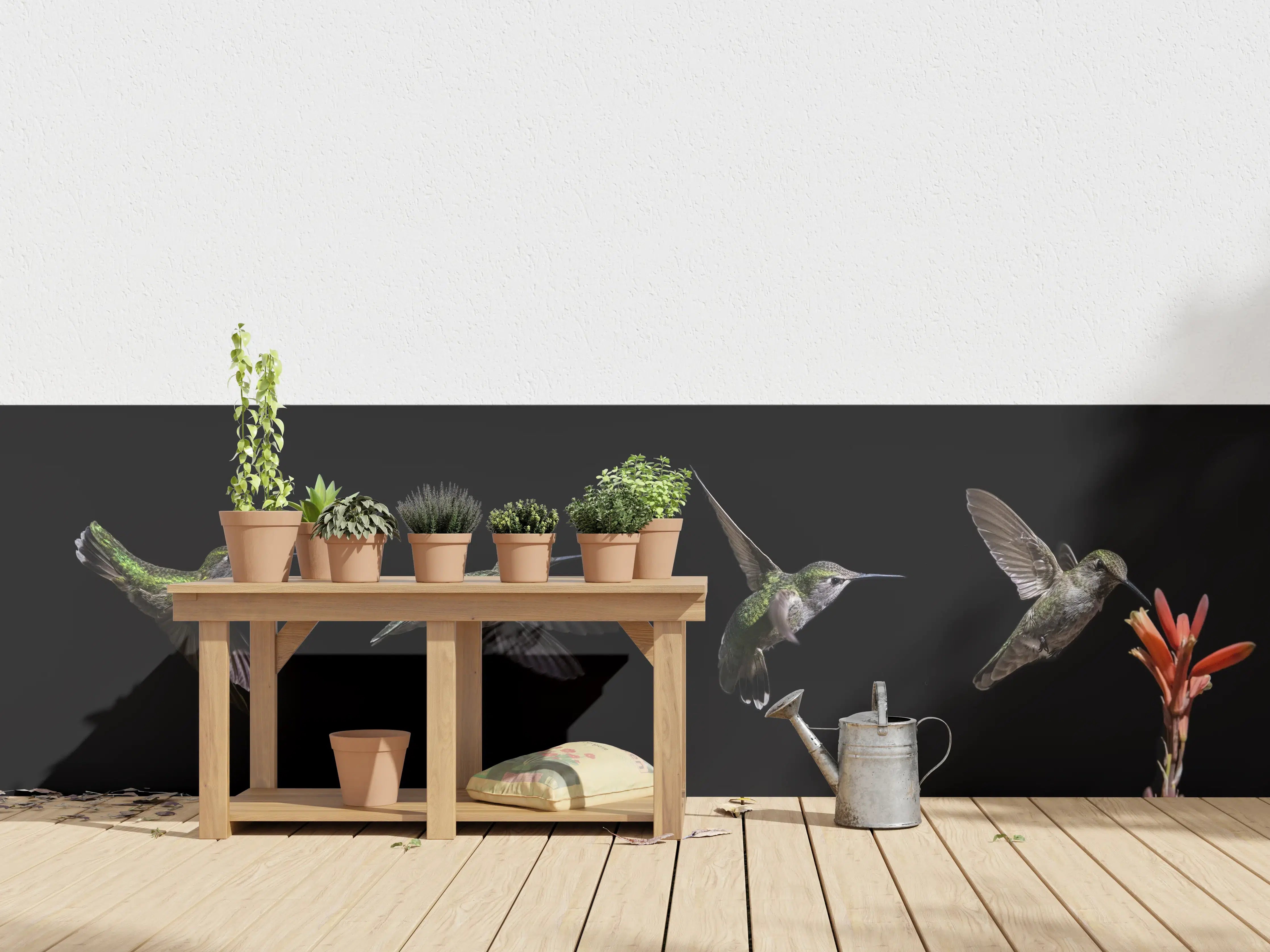 Wandverkleidung außen - Kolibri beim Fressen der Aloe Vera-Blüte