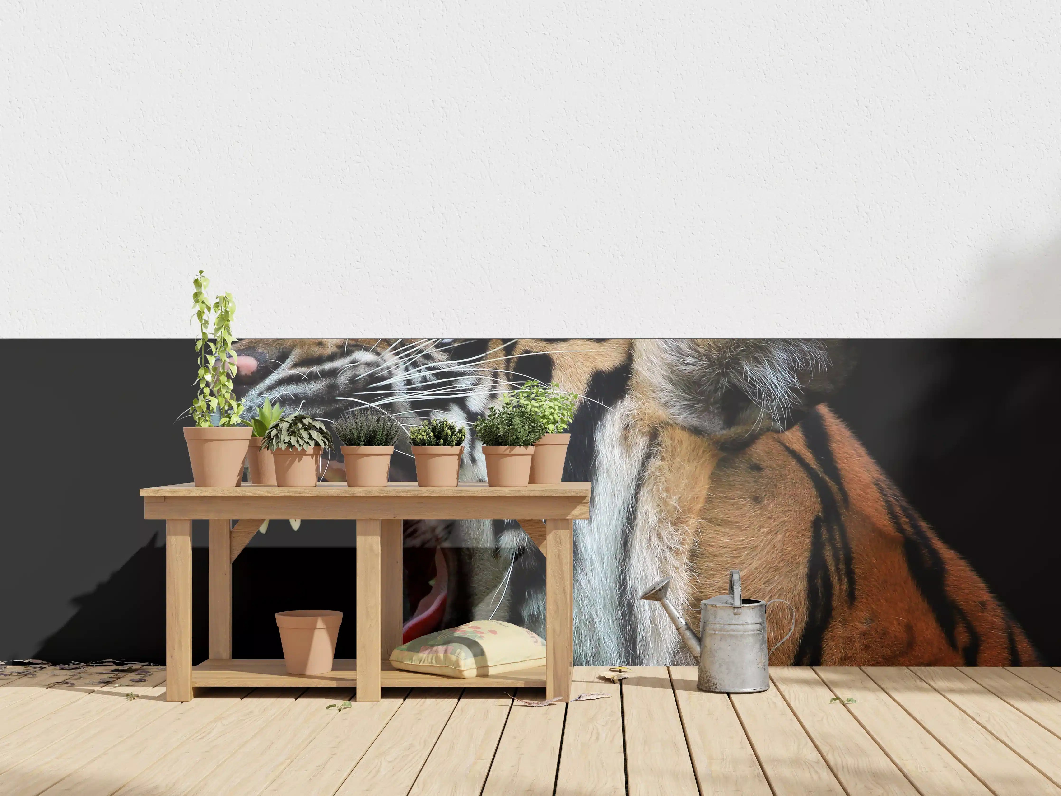 Wandverkleidung außen - Kopf eines Sumatra-Tigers