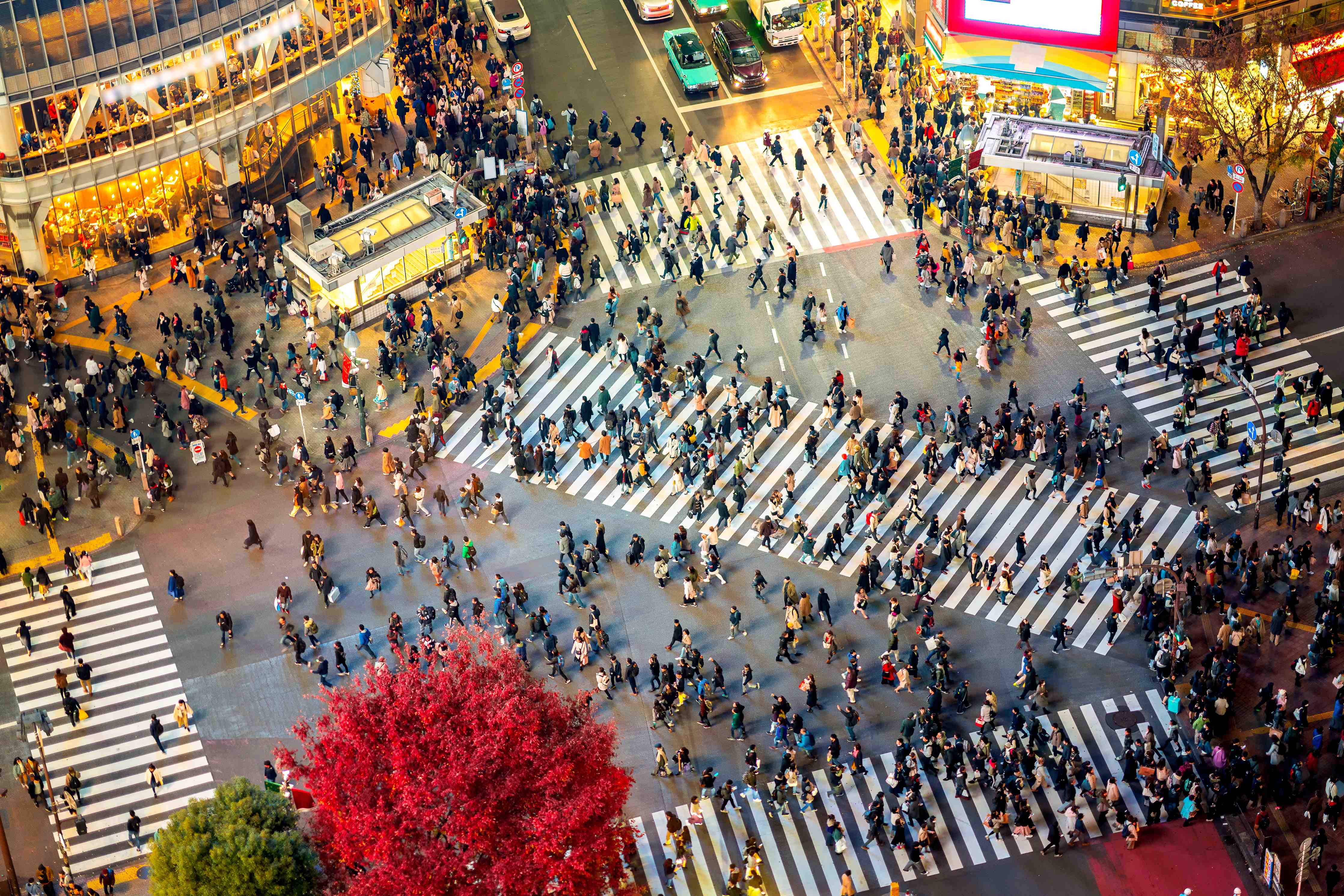 Wandverkleidung außen-Lebhafte Shibuya-Kreuzung von Oben