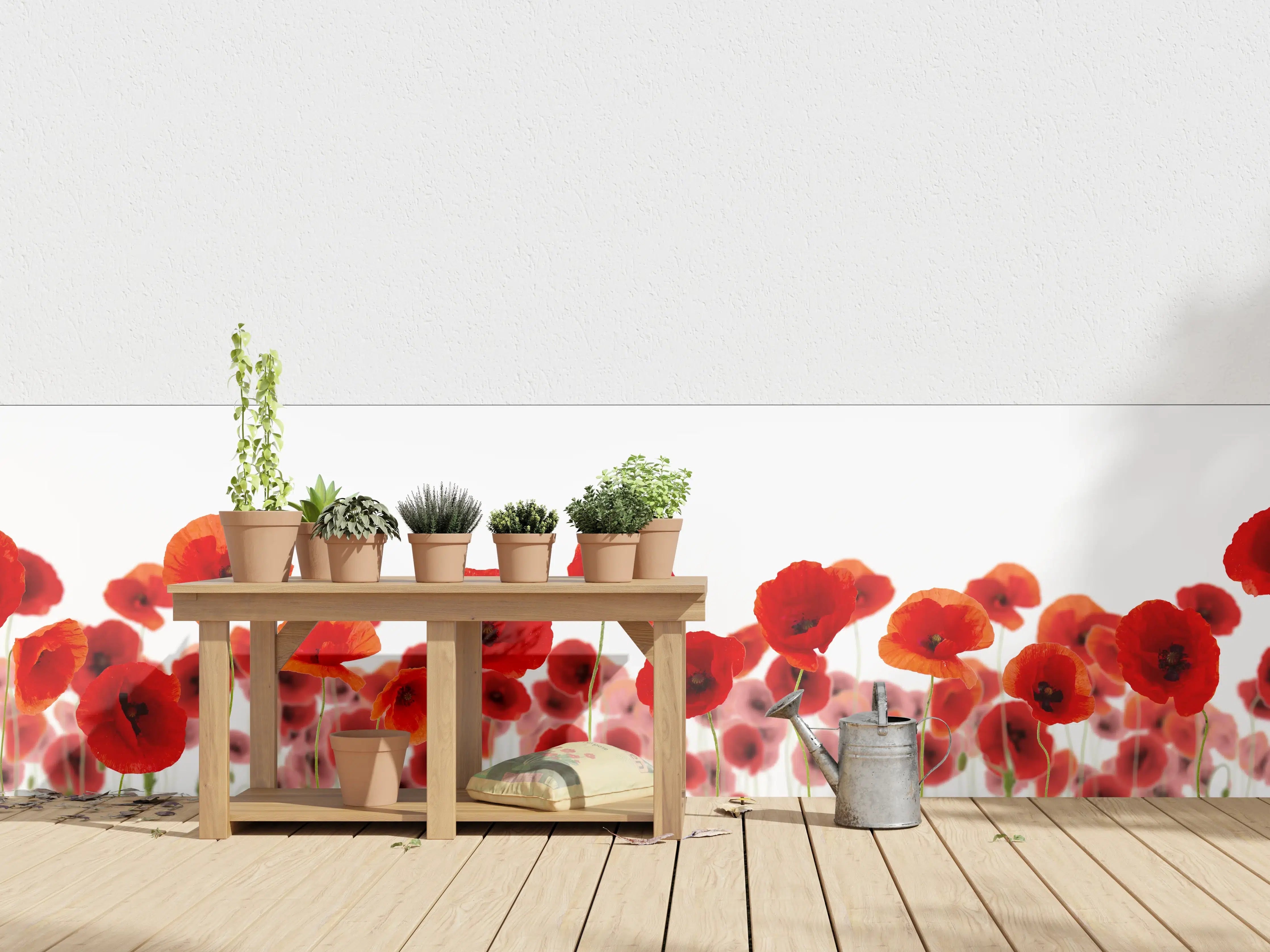 Wandverkleidung außen - Leuchtende Mohnblumen auf Weiß