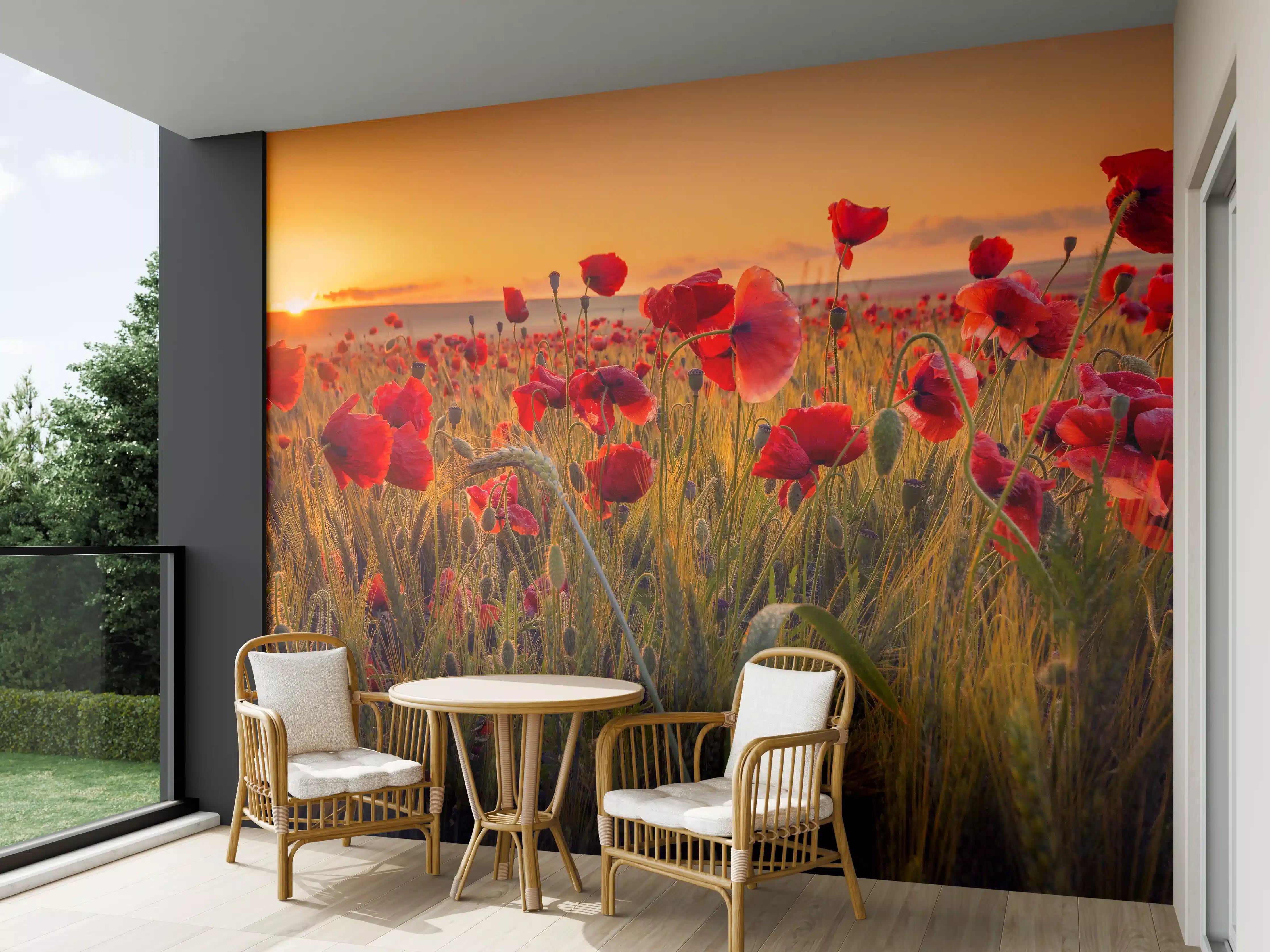 Wandverkleidung außen - Leuchtende Mohnblumen bei Sonnenuntergang
