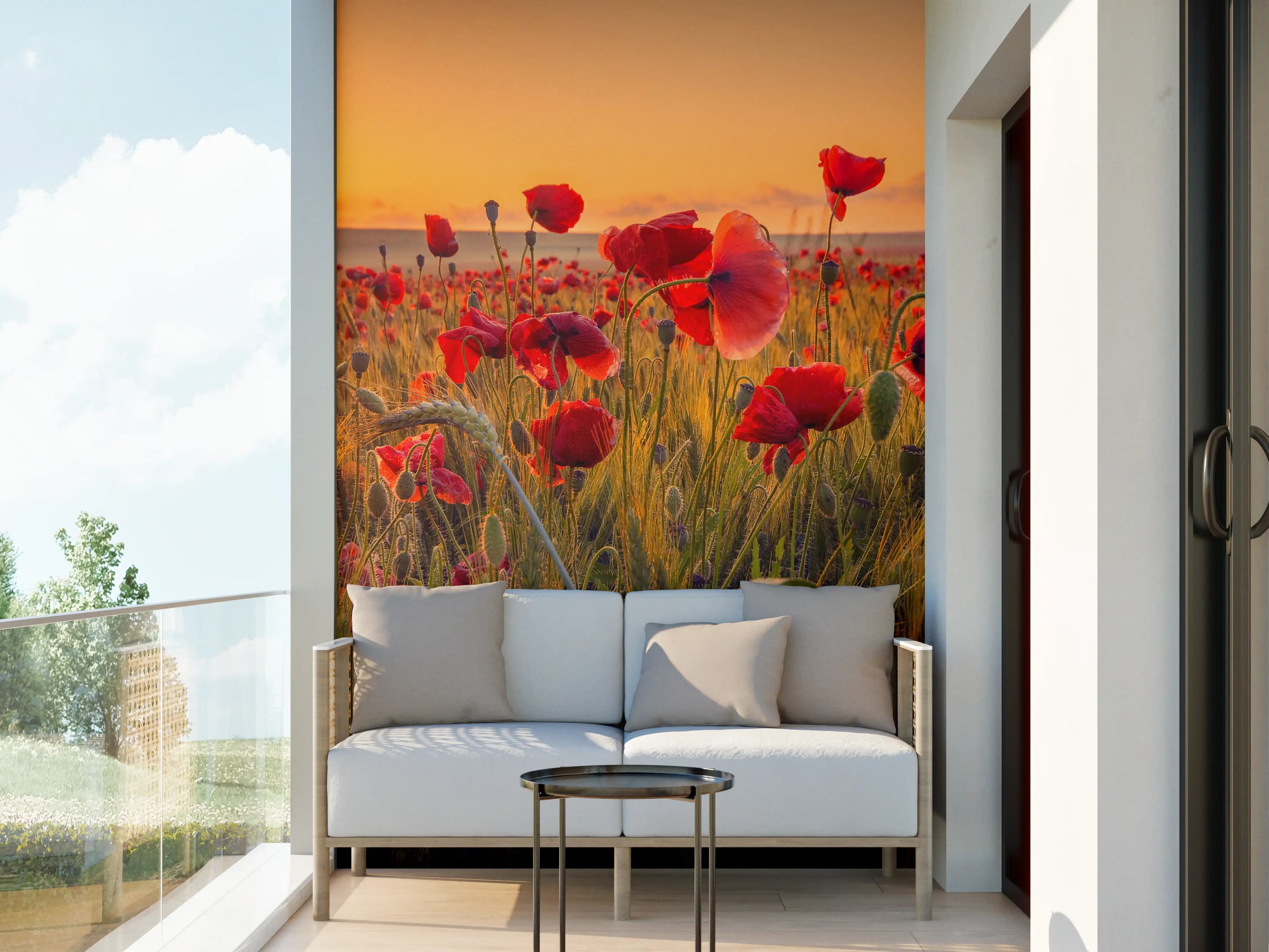 Wandverkleidung außen - Leuchtende Mohnblumen bei Sonnenuntergang
