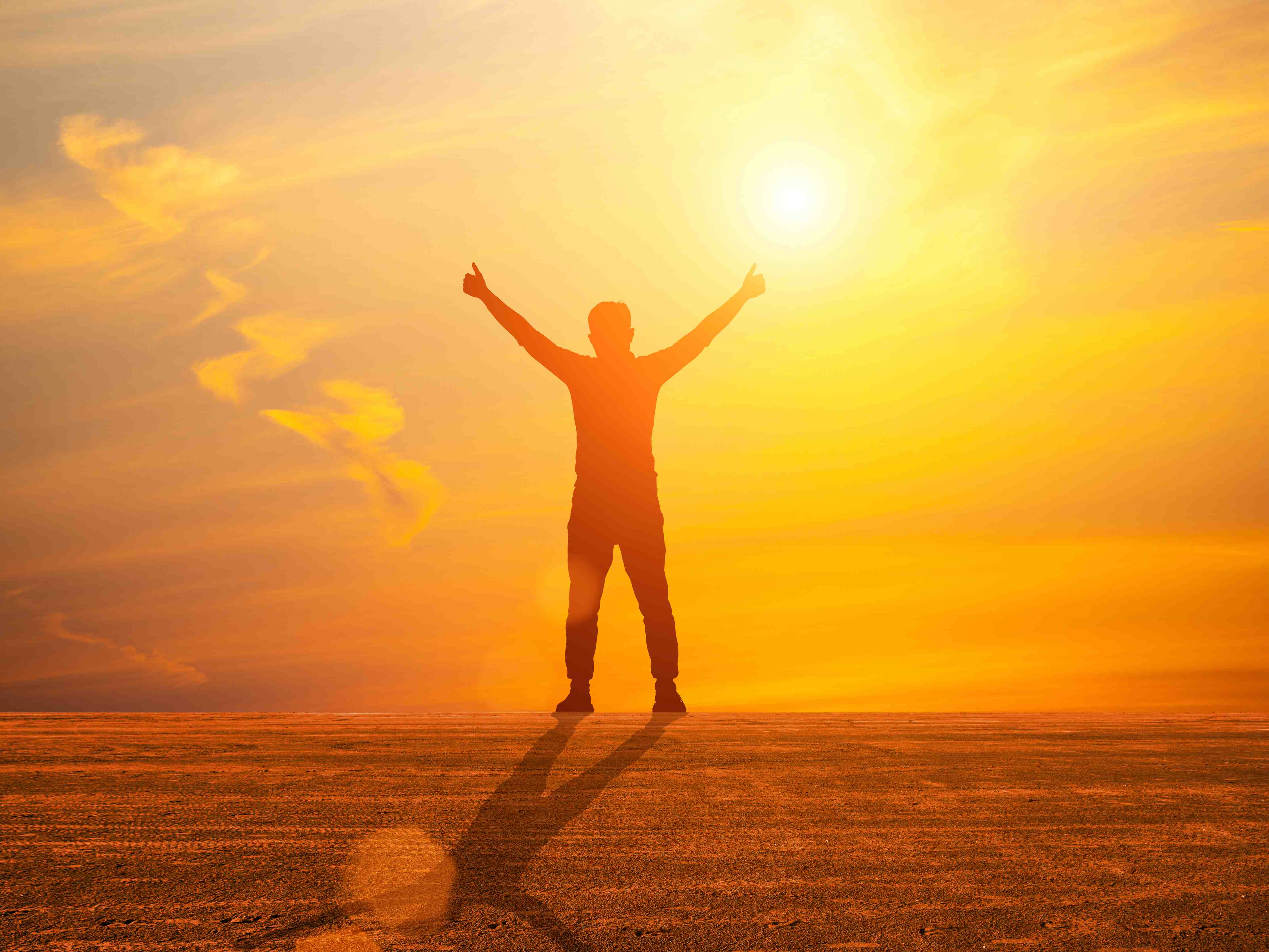 Wandverkleidung außen-Leuchtender Sonnenuntergang mit Silhouette