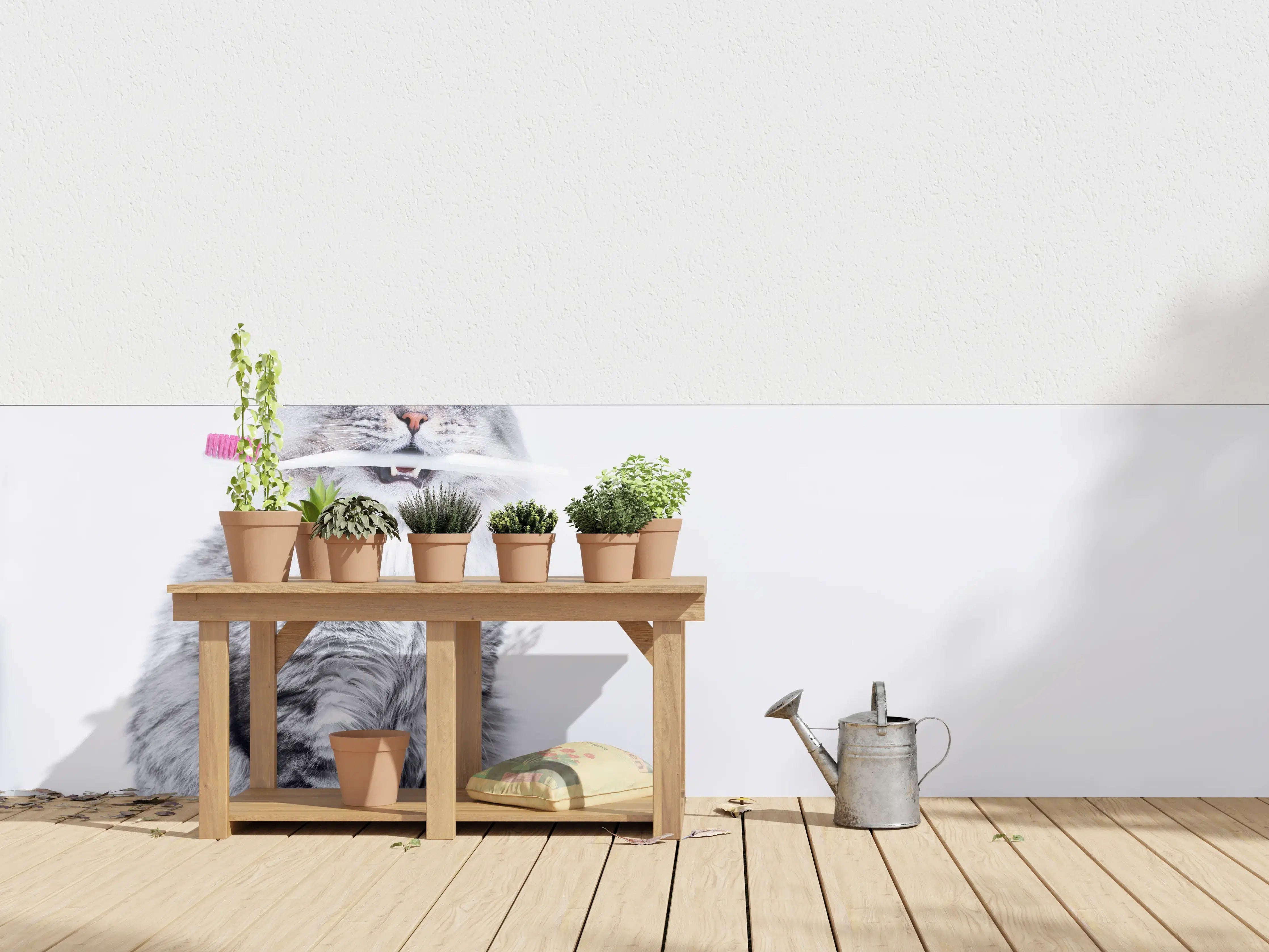 Wandverkleidung außen - Lustige Katze mit Zahnbürste