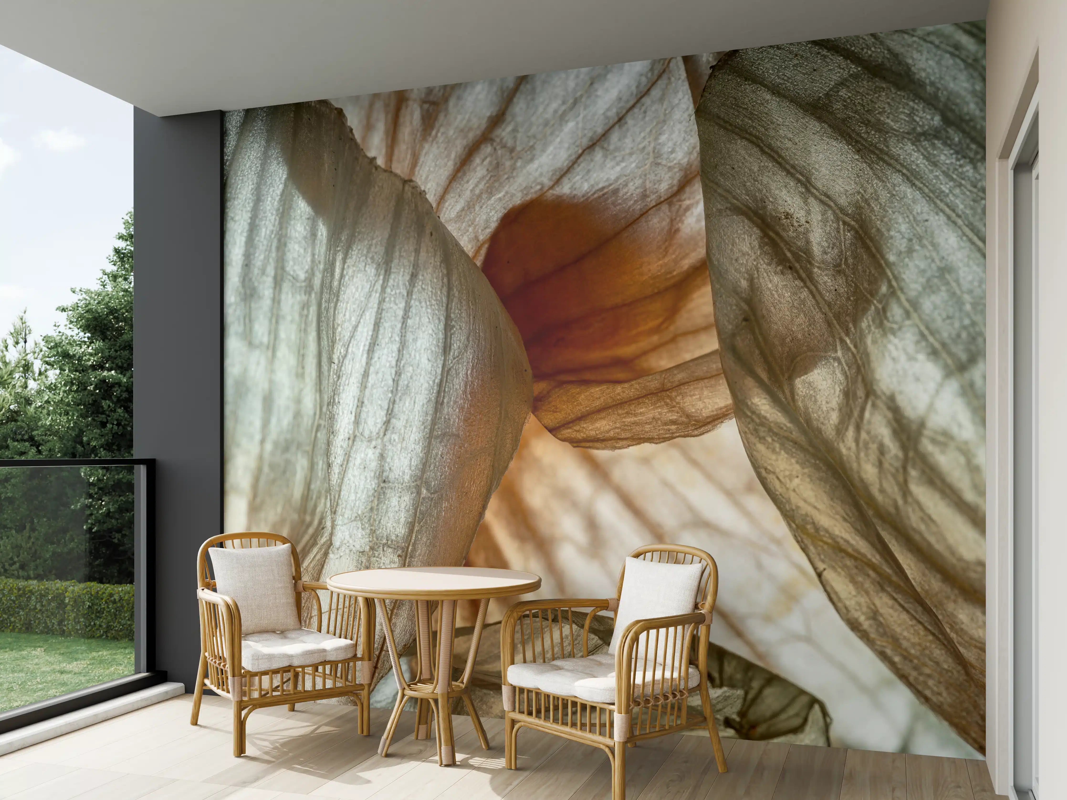 Wandverkleidung außen - Makrofotografie der Schalenblatttextur einer Zwiebel