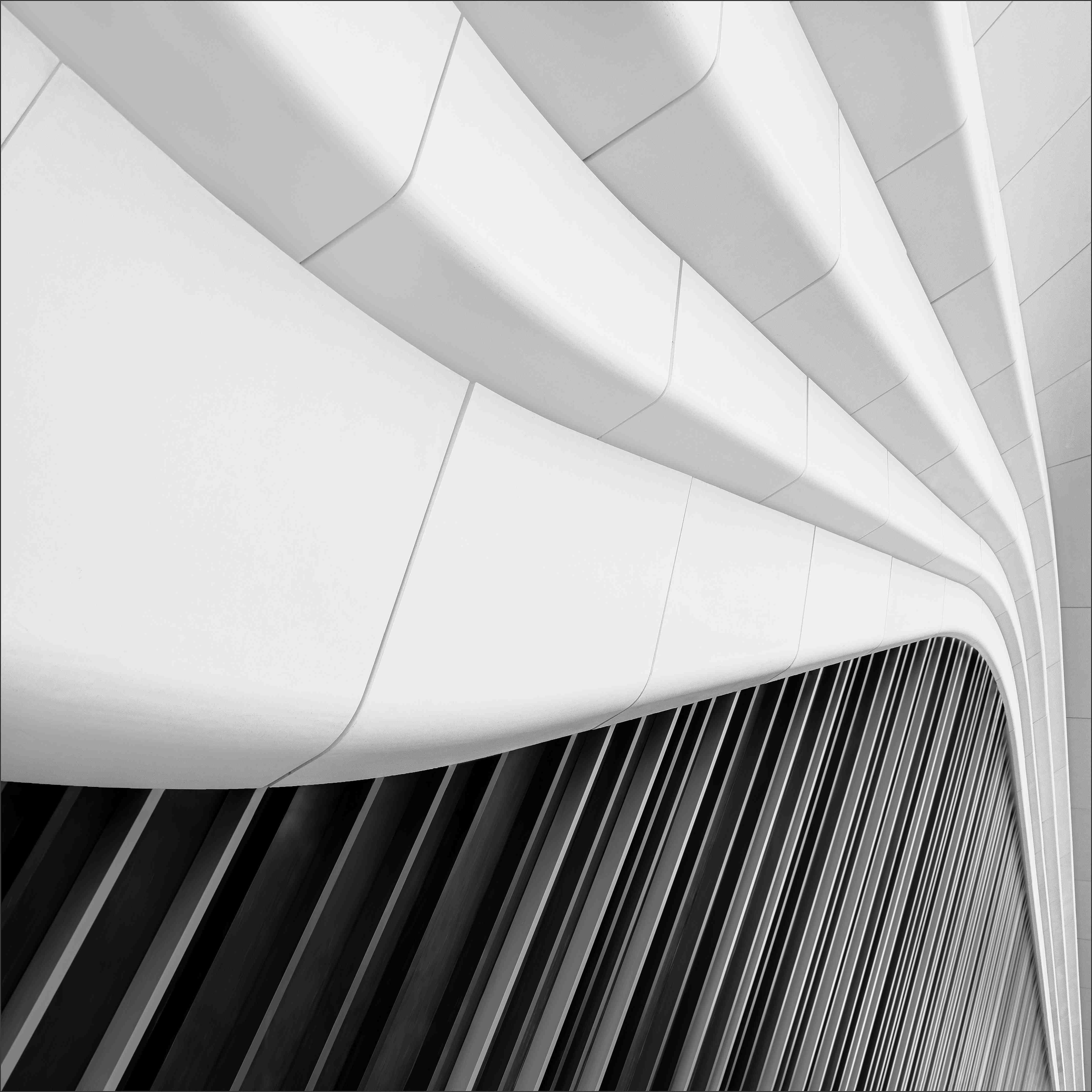 Wandverkleidung außen-Moderne Architektur in Schwarz-Weiß