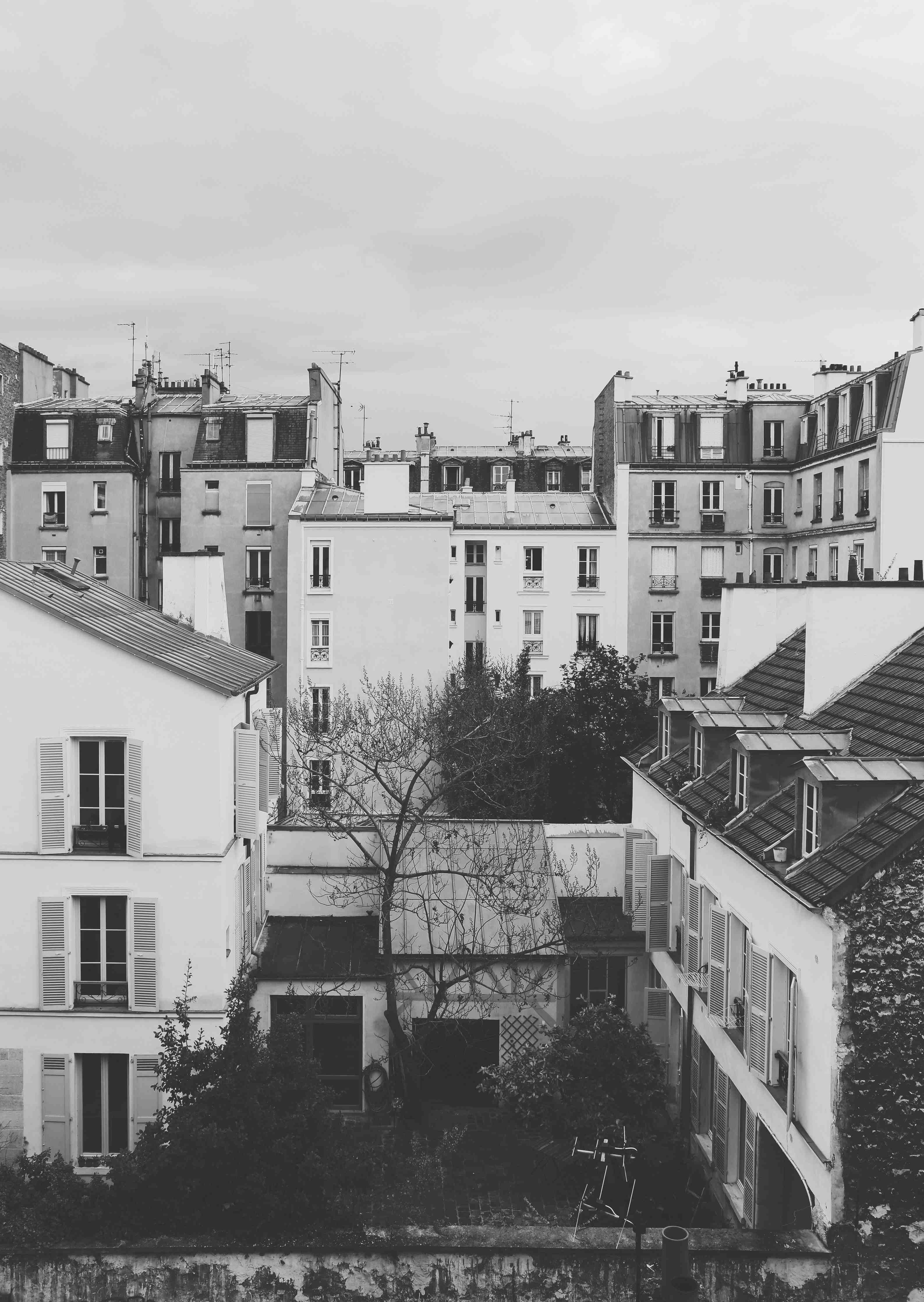 Wandverkleidung außen-Monochromes Paris-Straßenpanorama