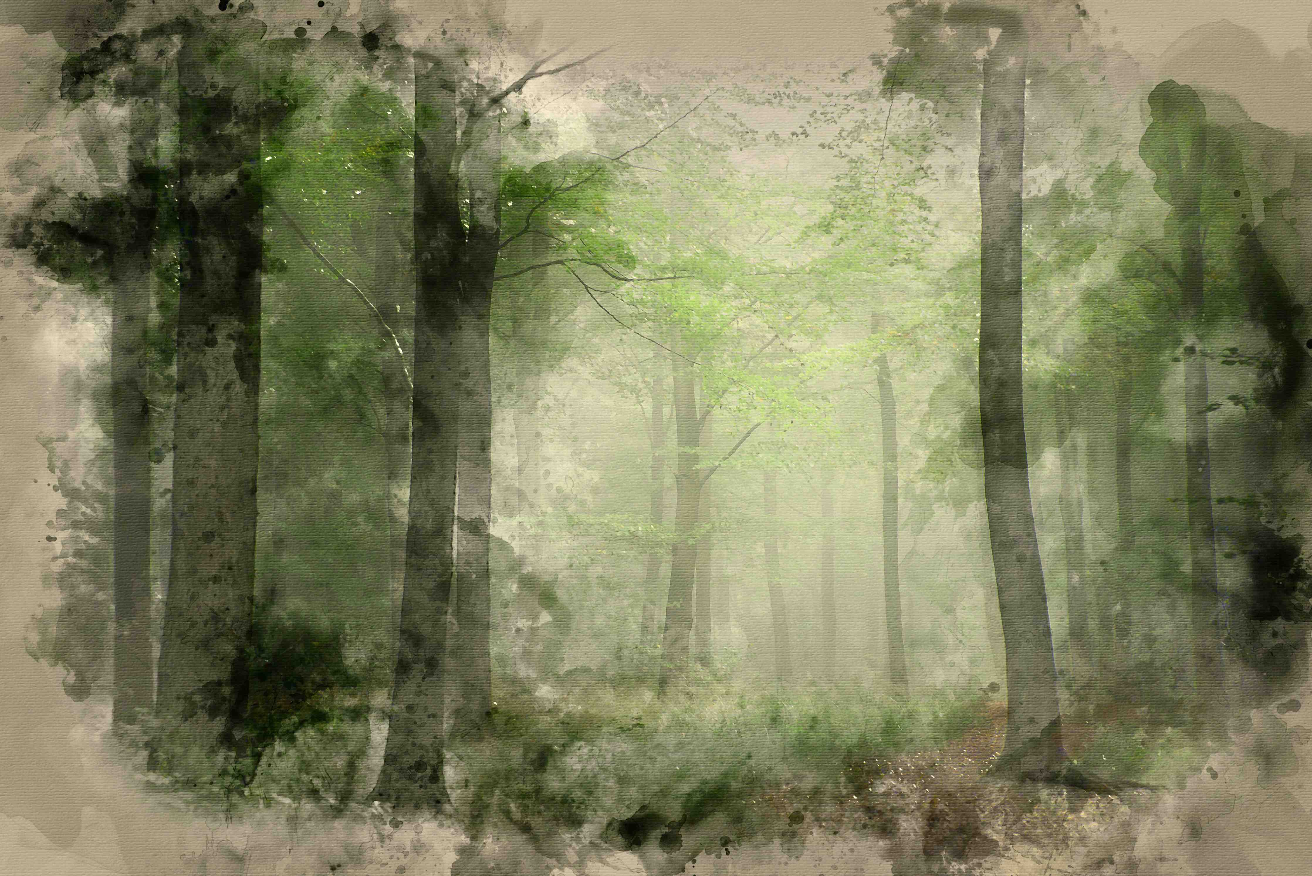 Wandverkleidung außen-Mystischer Wald im Nebel mit grünen Akzenten