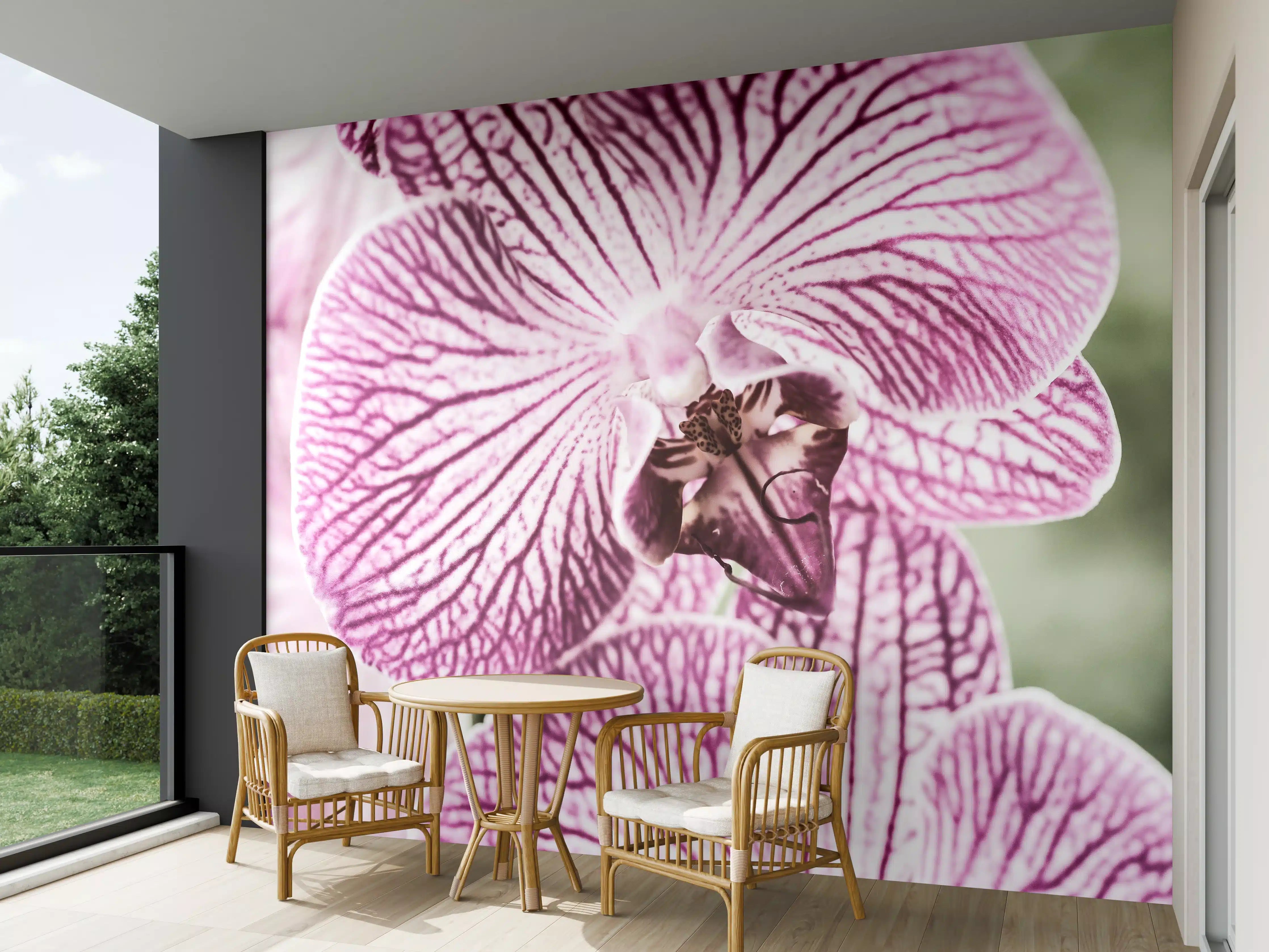 Wandverkleidung außen - Orchideen Makro Pink-Lila