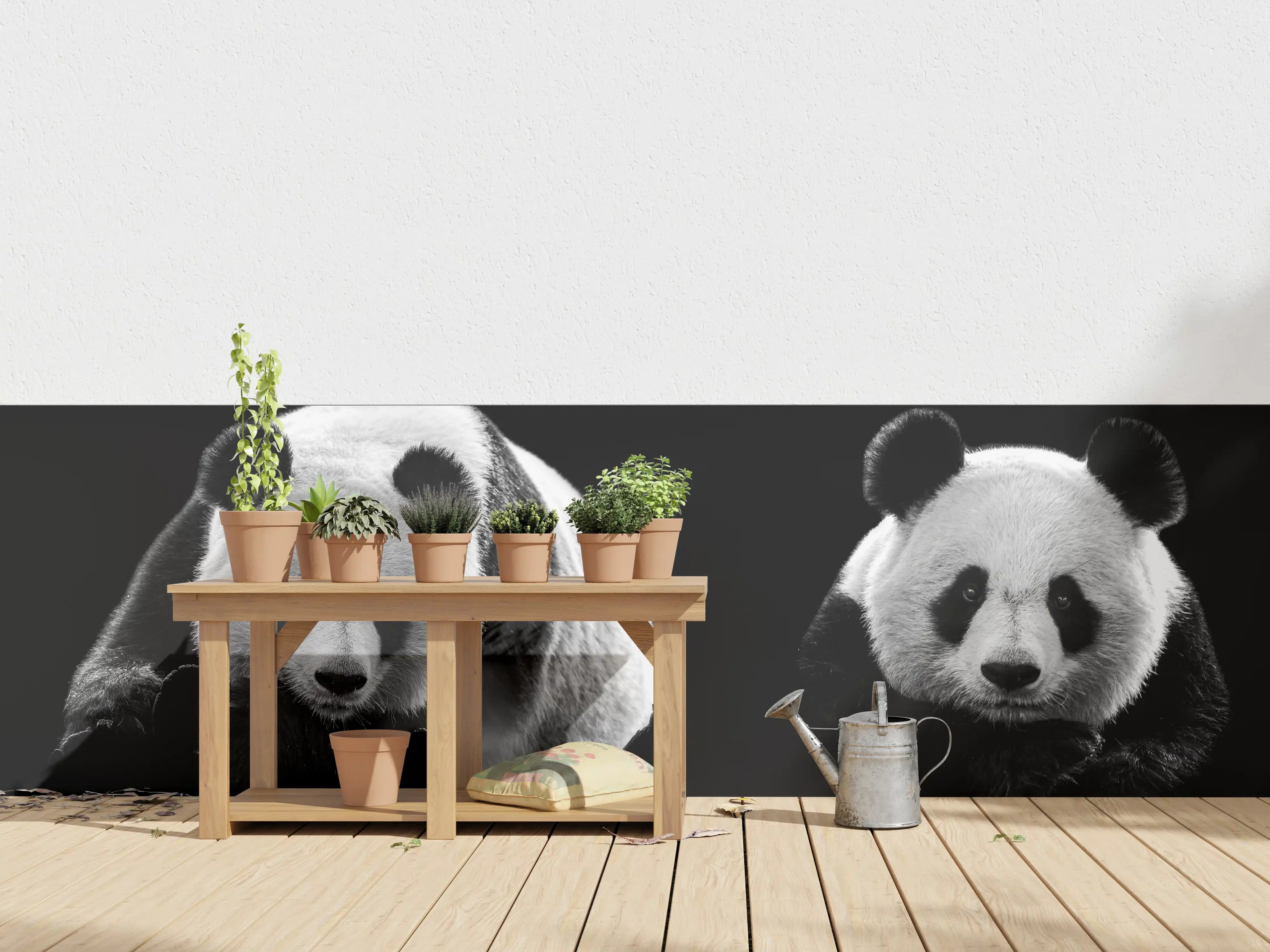 Wandverkleidung außen - Panda mit schwarzem Hintergrund