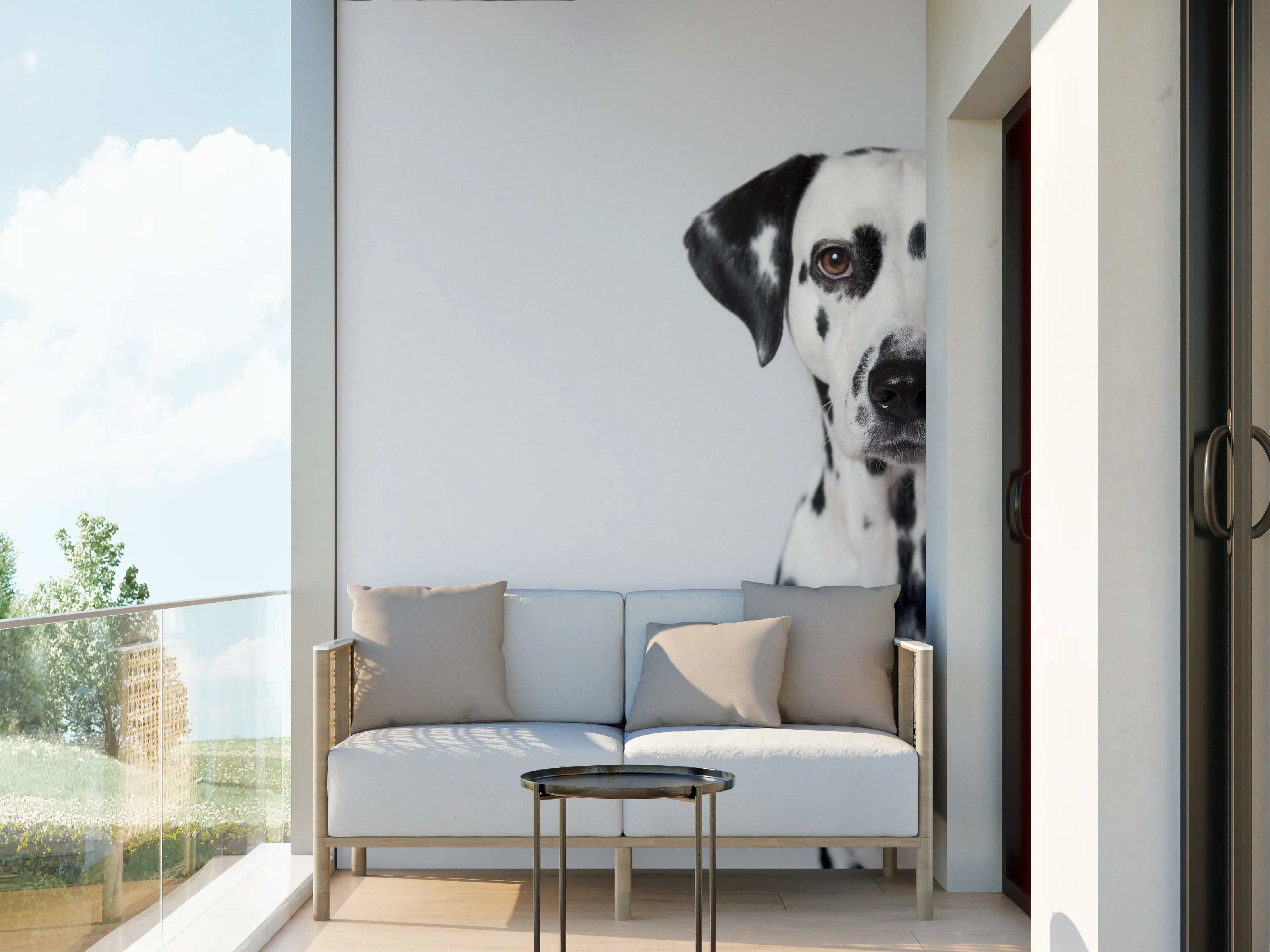 Wandverkleidung außen - Portrait eines Dalmatiners auf weißem Hintergrund