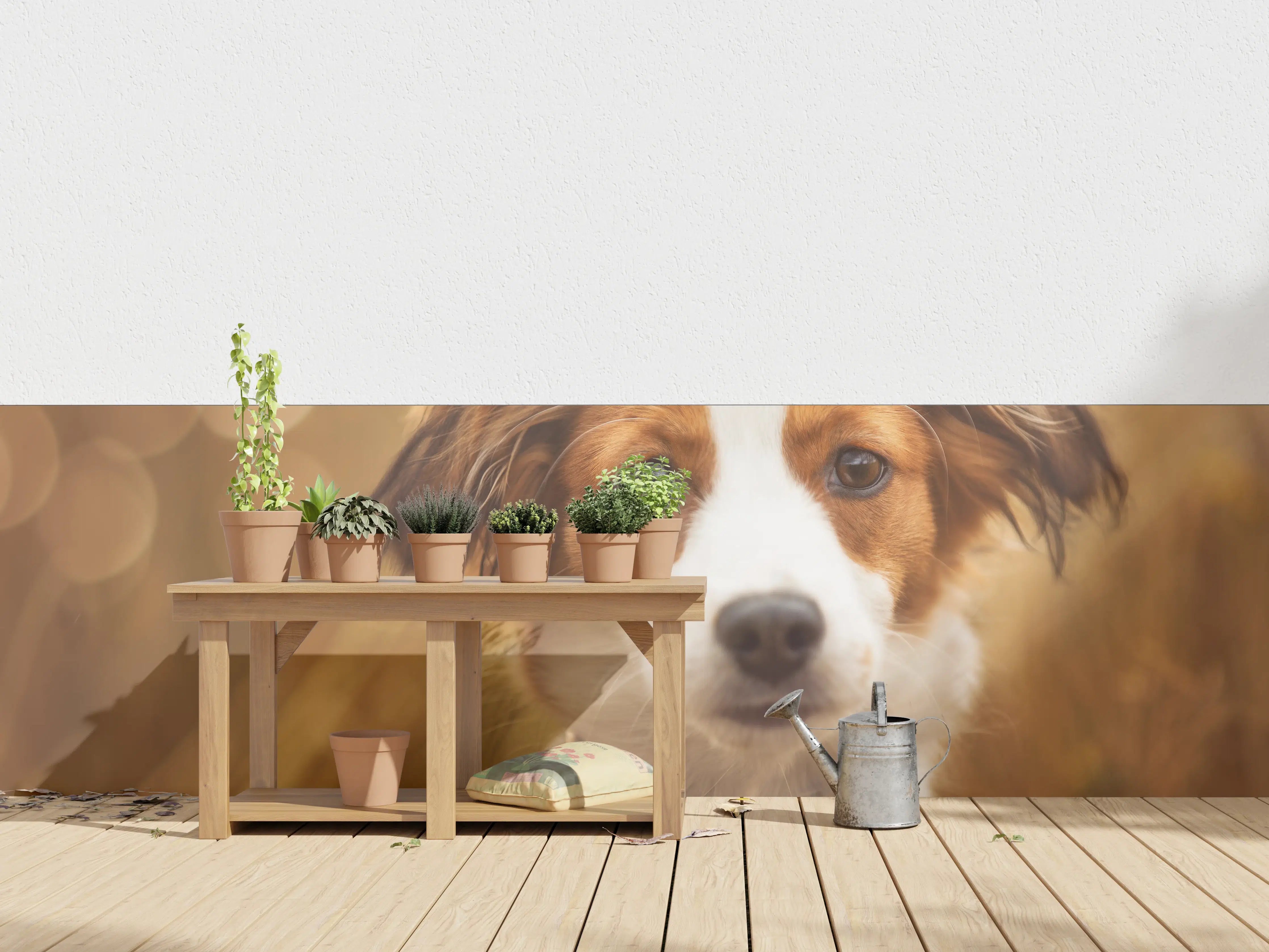 Wandverkleidung außen - Portrait eines süßen Kooiker Hundes