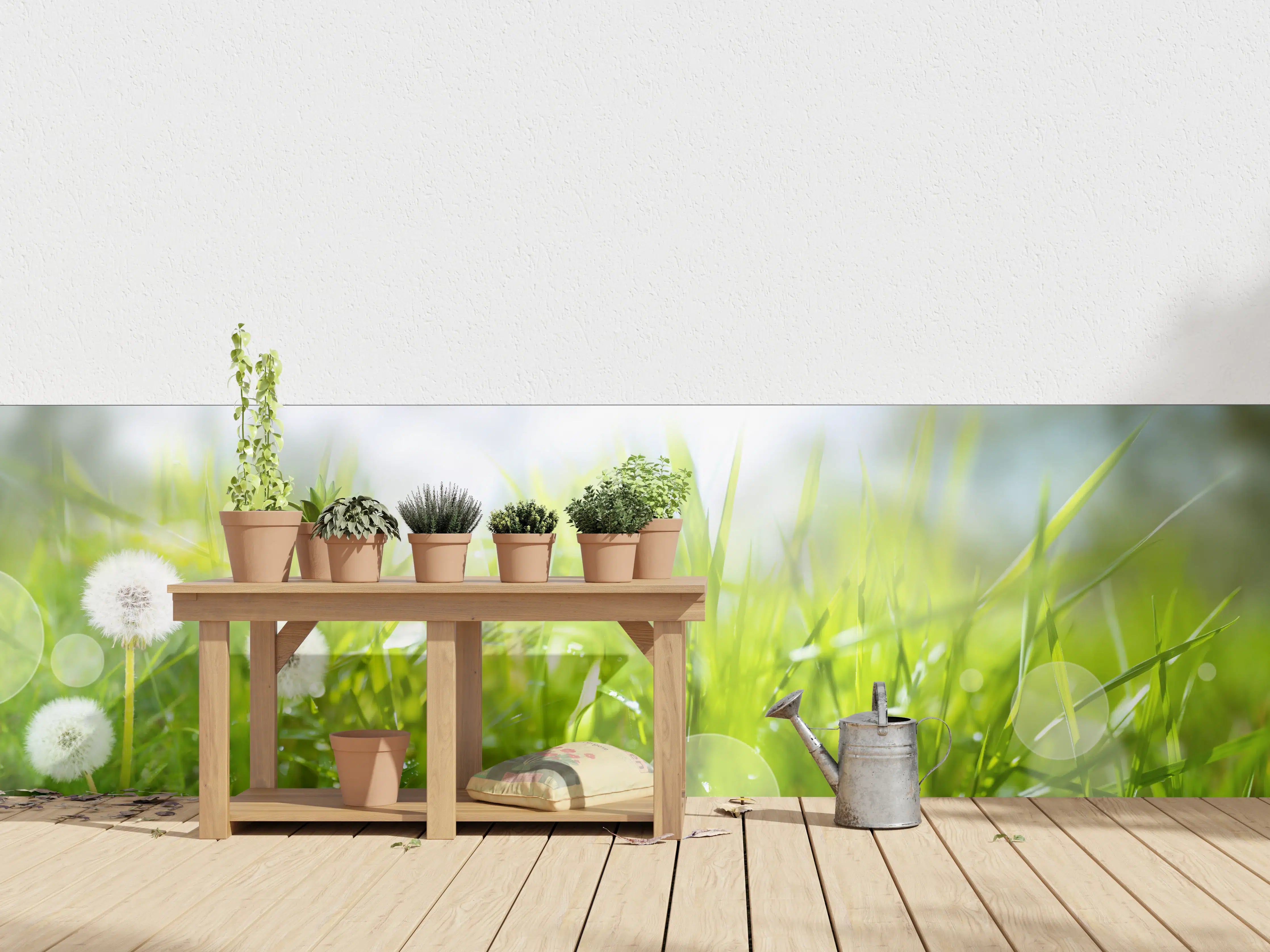 Wandverkleidung außen - Pusteblumen auf grüner Wiese