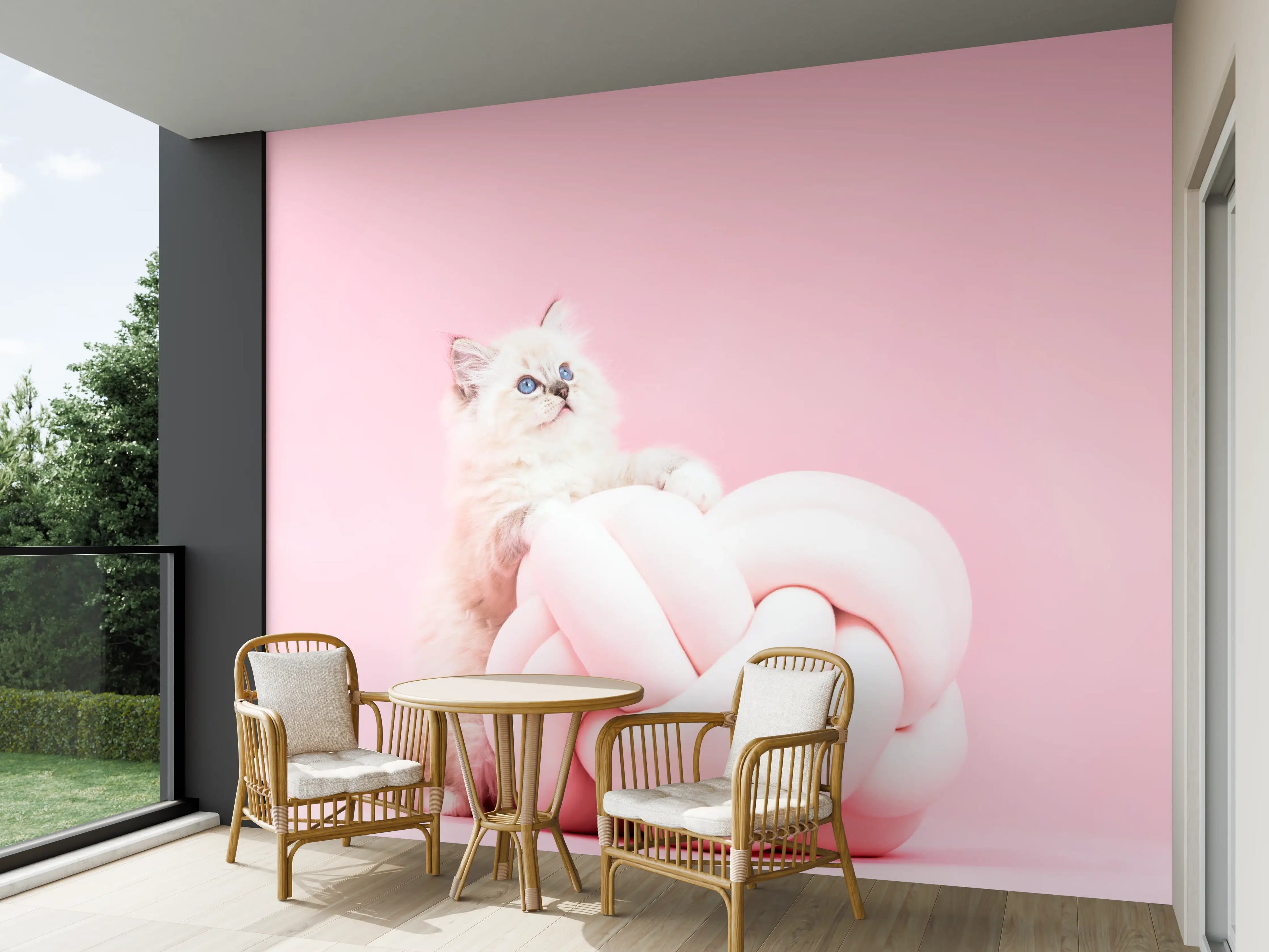 Wandverkleidung außen - Ragdoll Katze auf Pinken Hintergrund