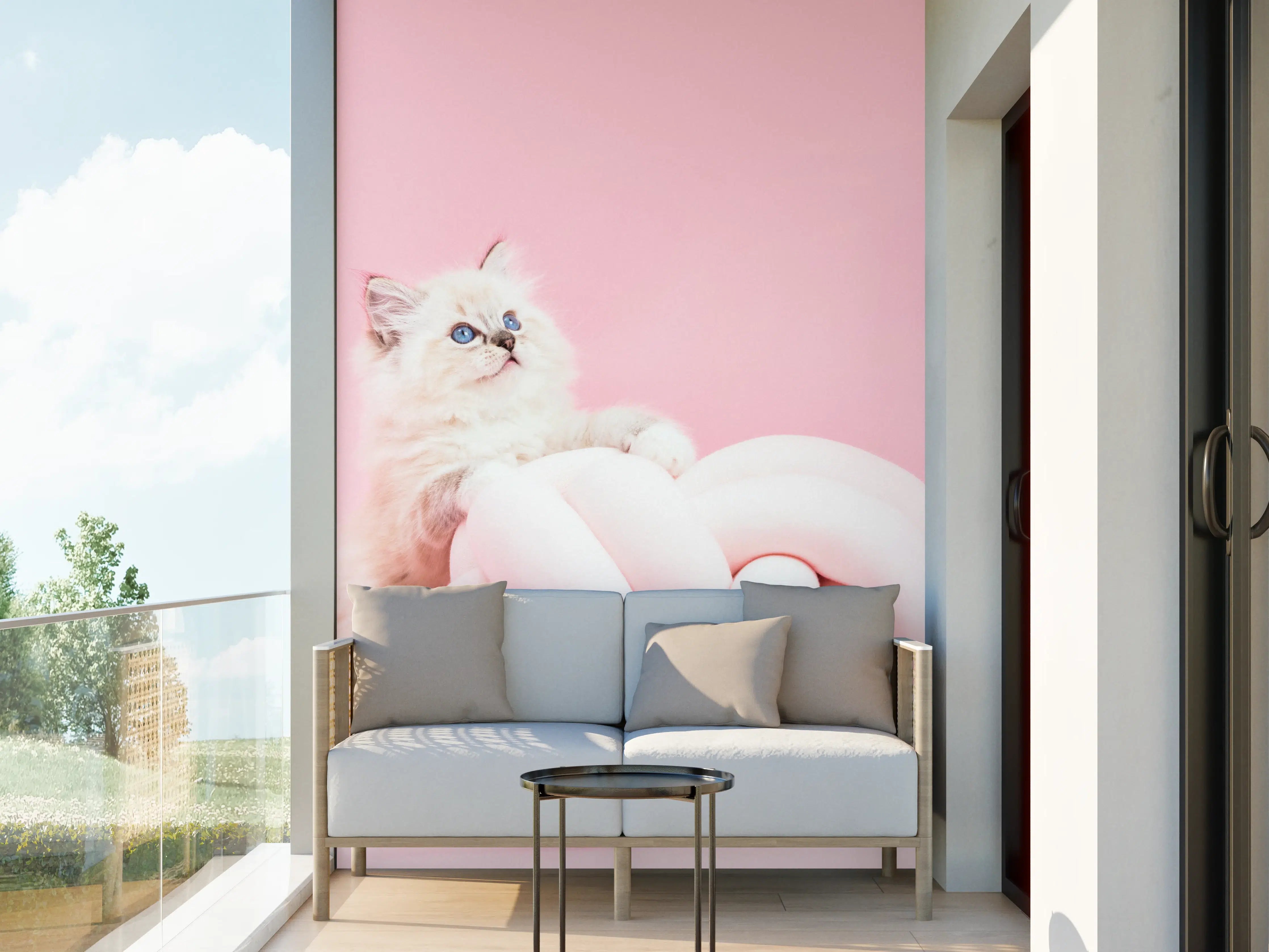Wandverkleidung außen - Ragdoll Katze auf Pinken Hintergrund