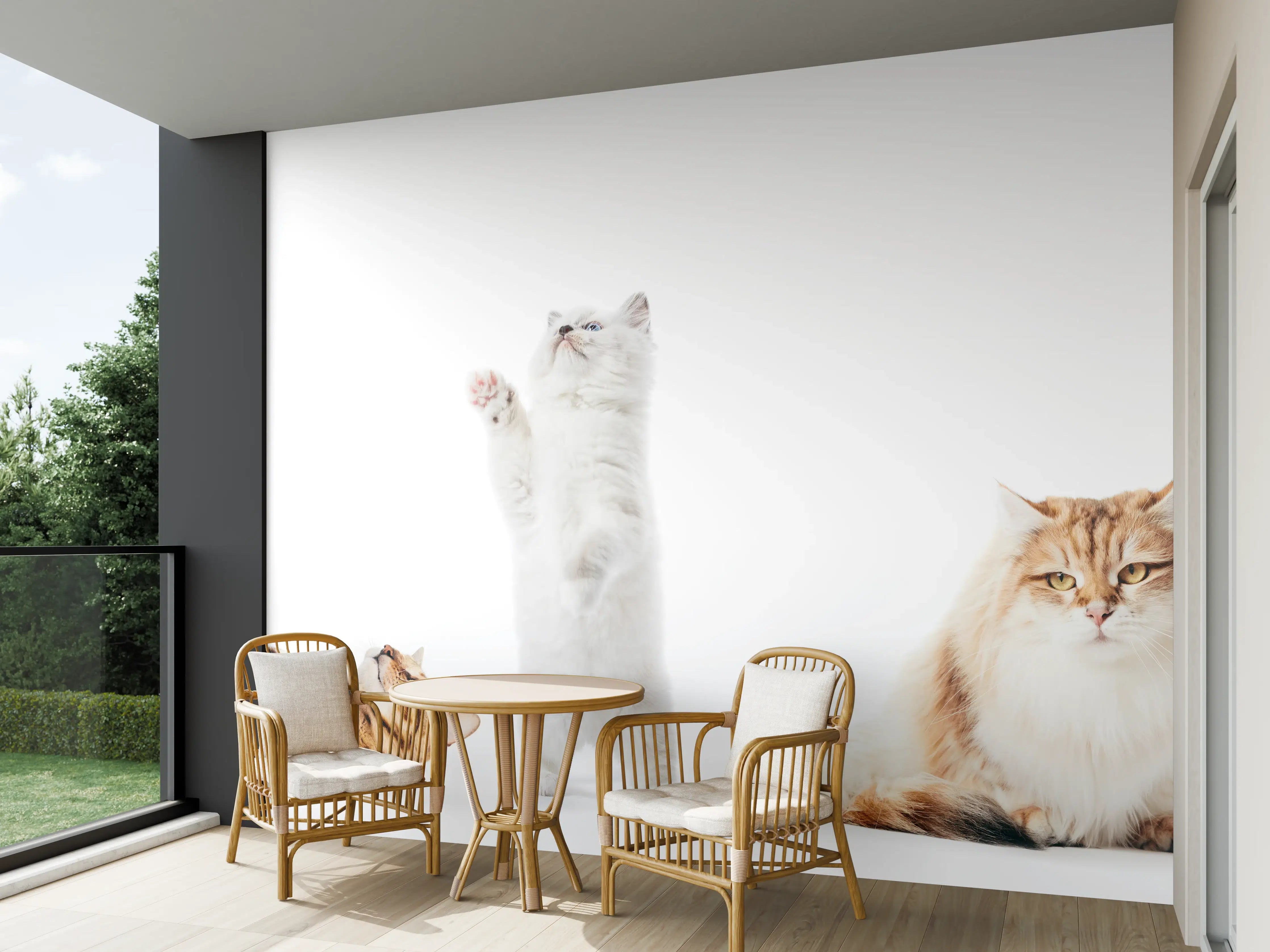 Wandverkleidung außen - Reinrassige Katzen Weiß-Sammlung
