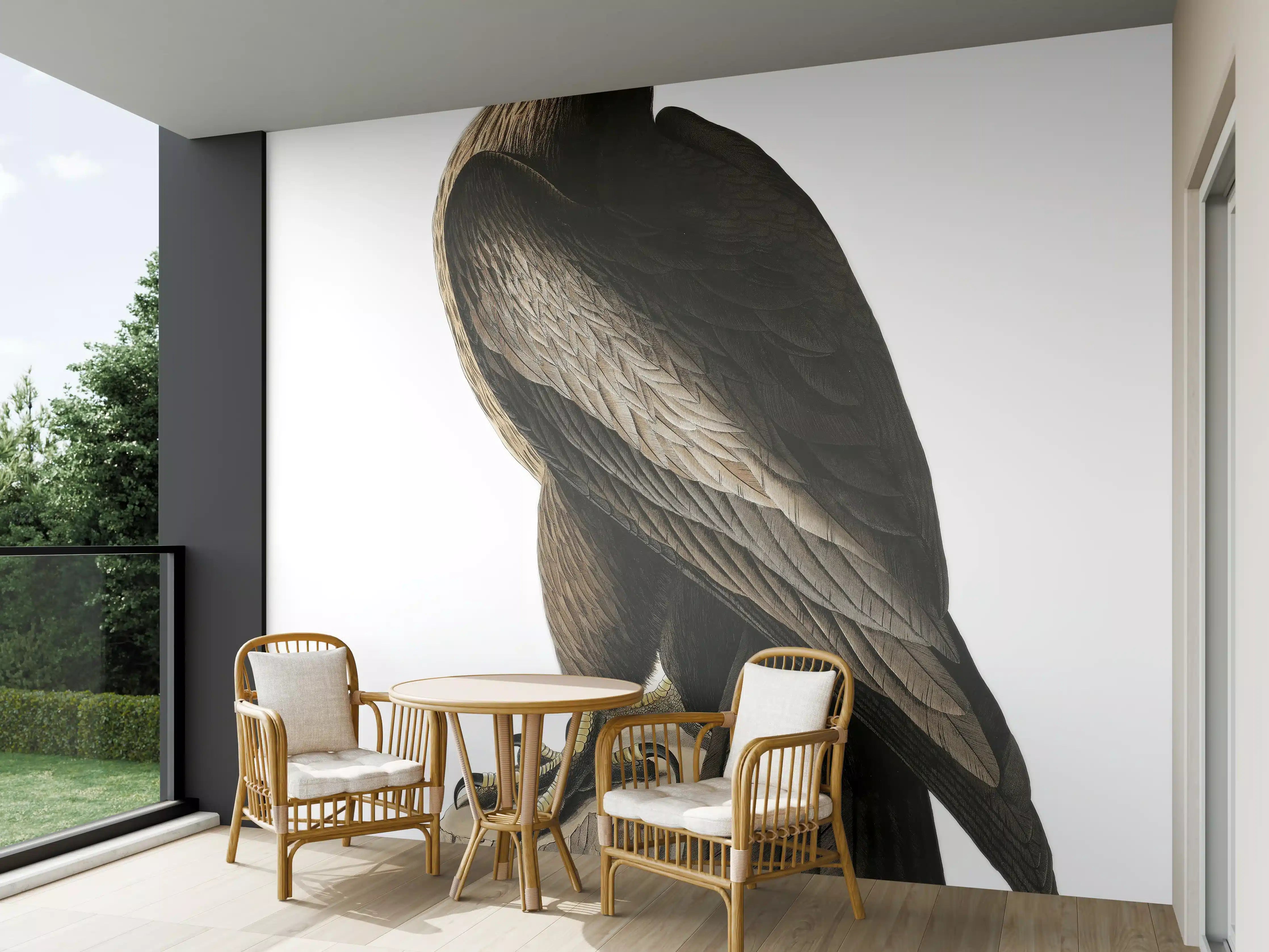 Wandverkleidung außen - Riesenseeadler Portrait - John James Audubon