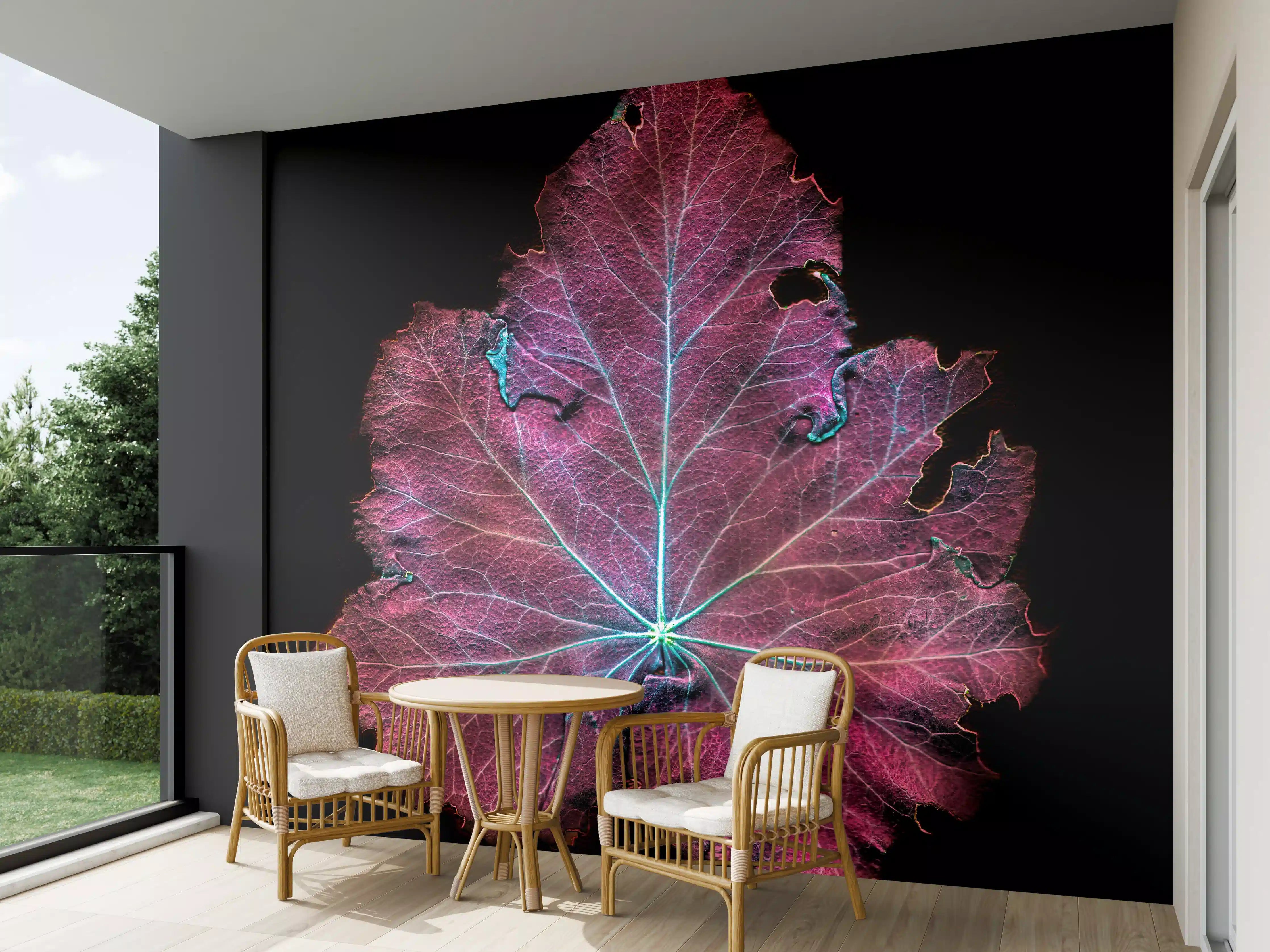 Wandverkleidung außen - Rötliches Blatt auf schwarzem Hintergrund