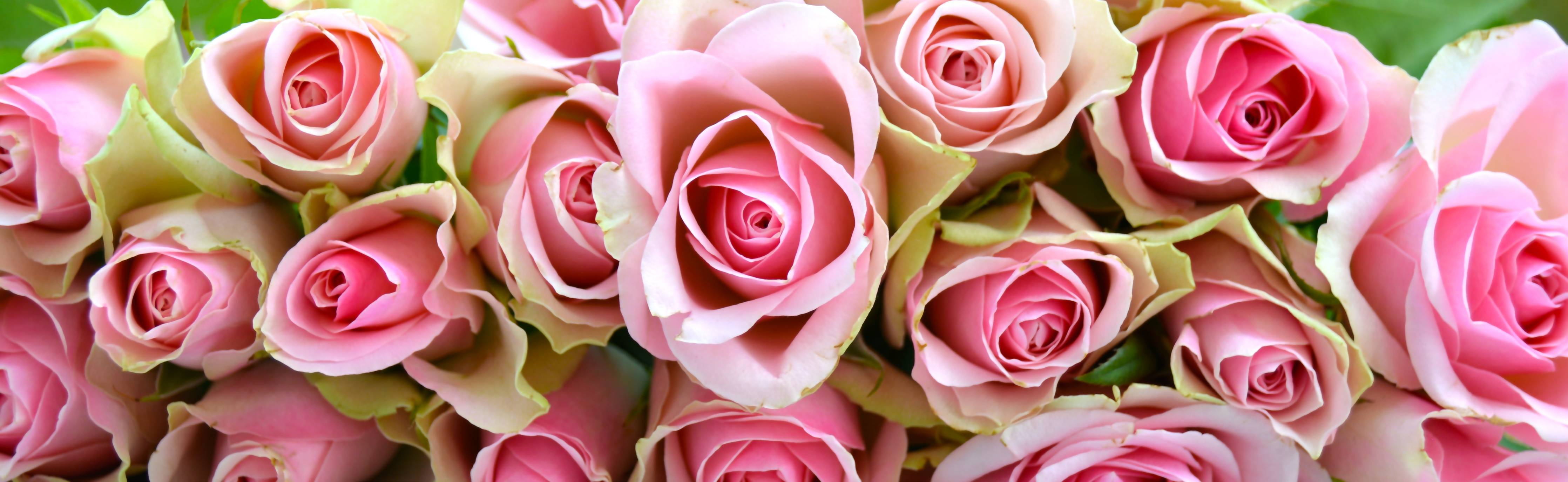 Wandverkleidung außen-Romantische rosa Blumen in zarten Pastelltönen