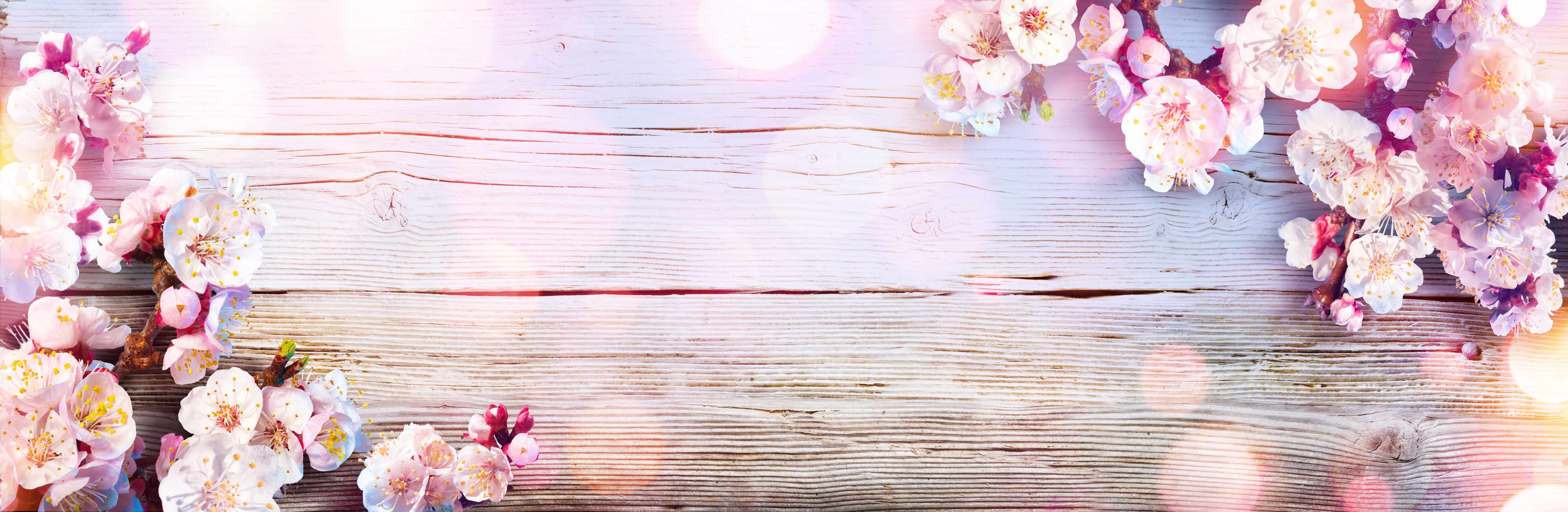 Wandverkleidung außen-Rosa Blüten auf Holzplatte