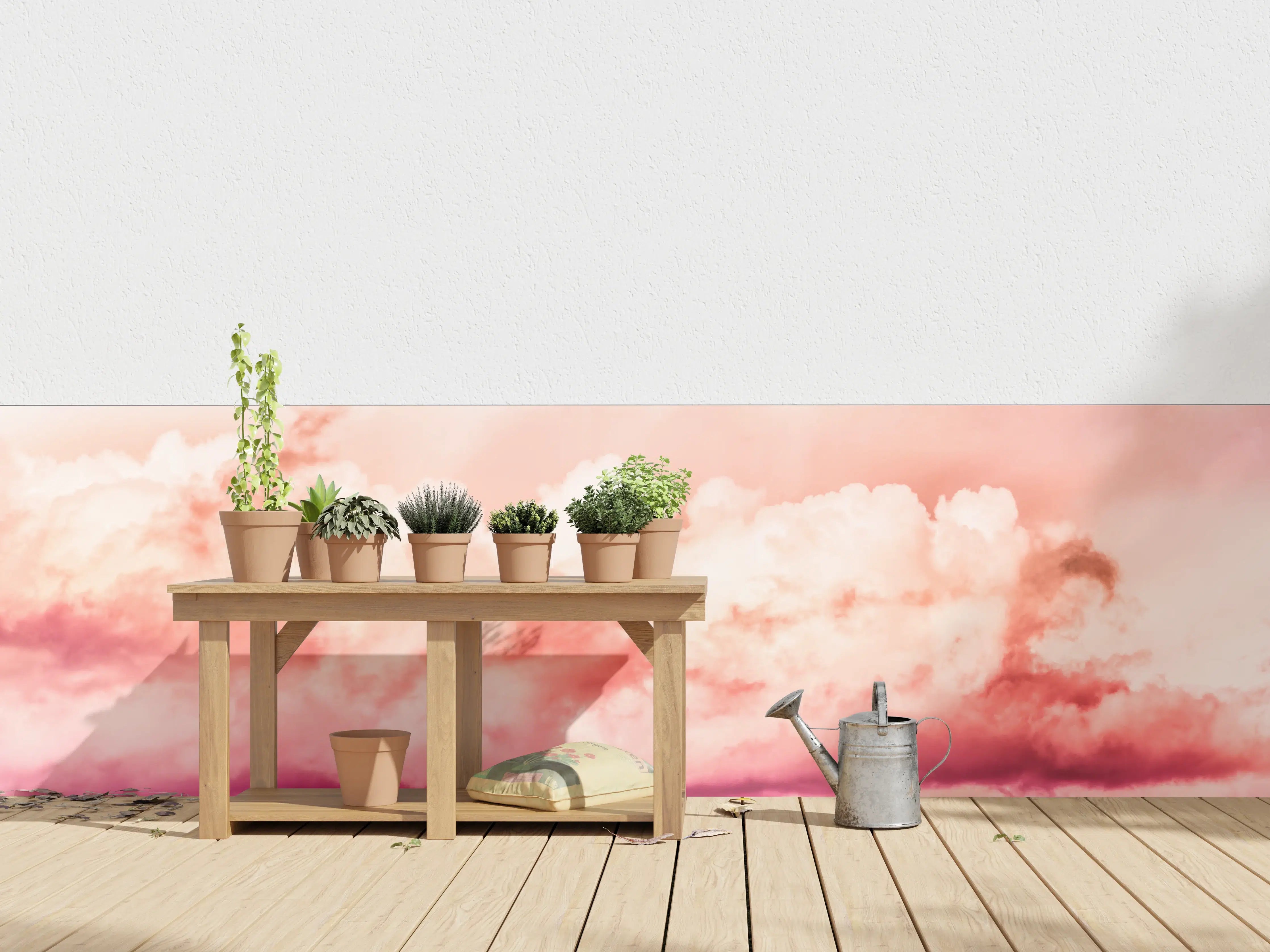 Wandverkleidung außen - Rosa Wolkenhimmel