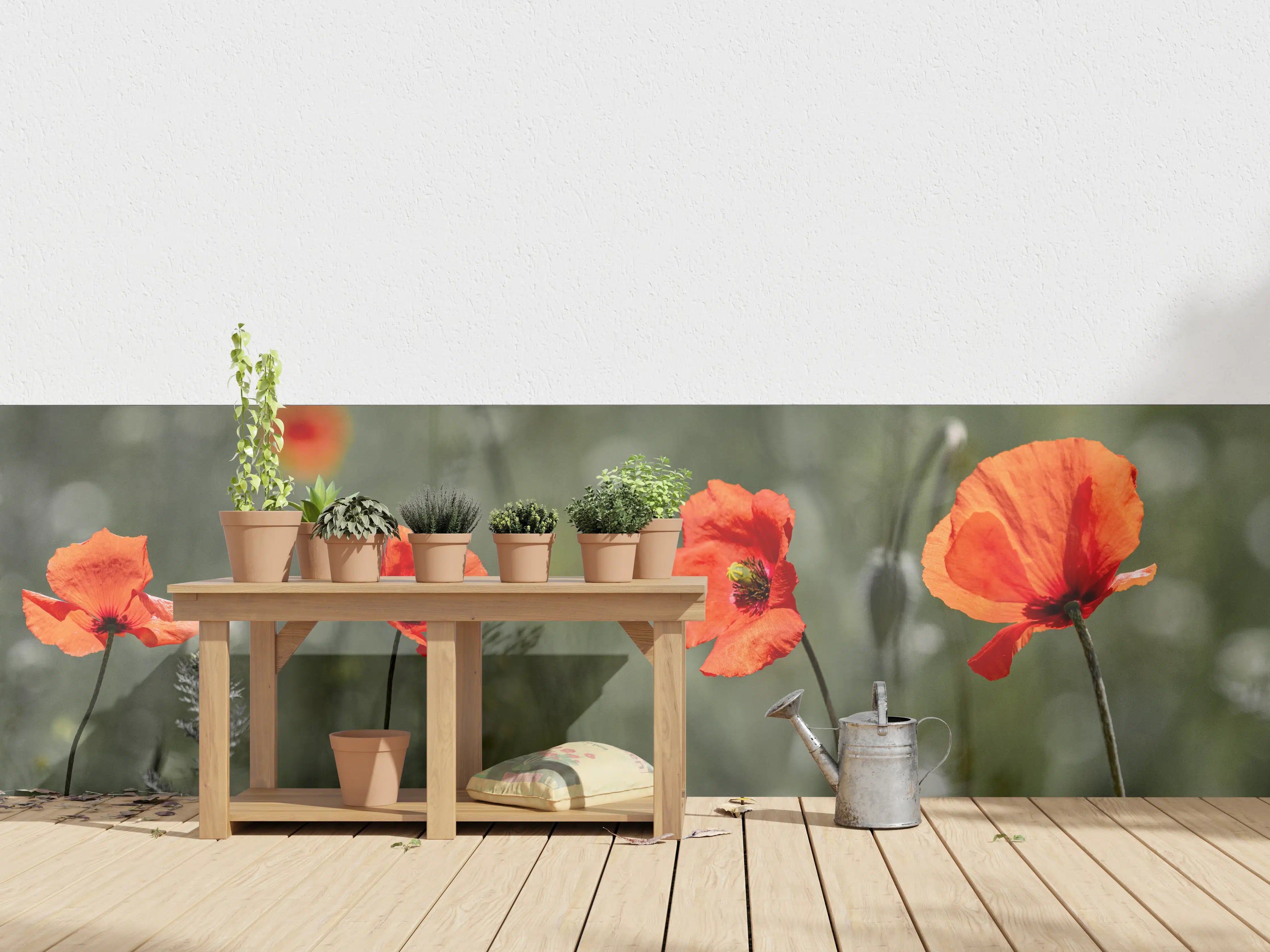 Wandverkleidung außen - Roter Mohn inmitten des Grüns