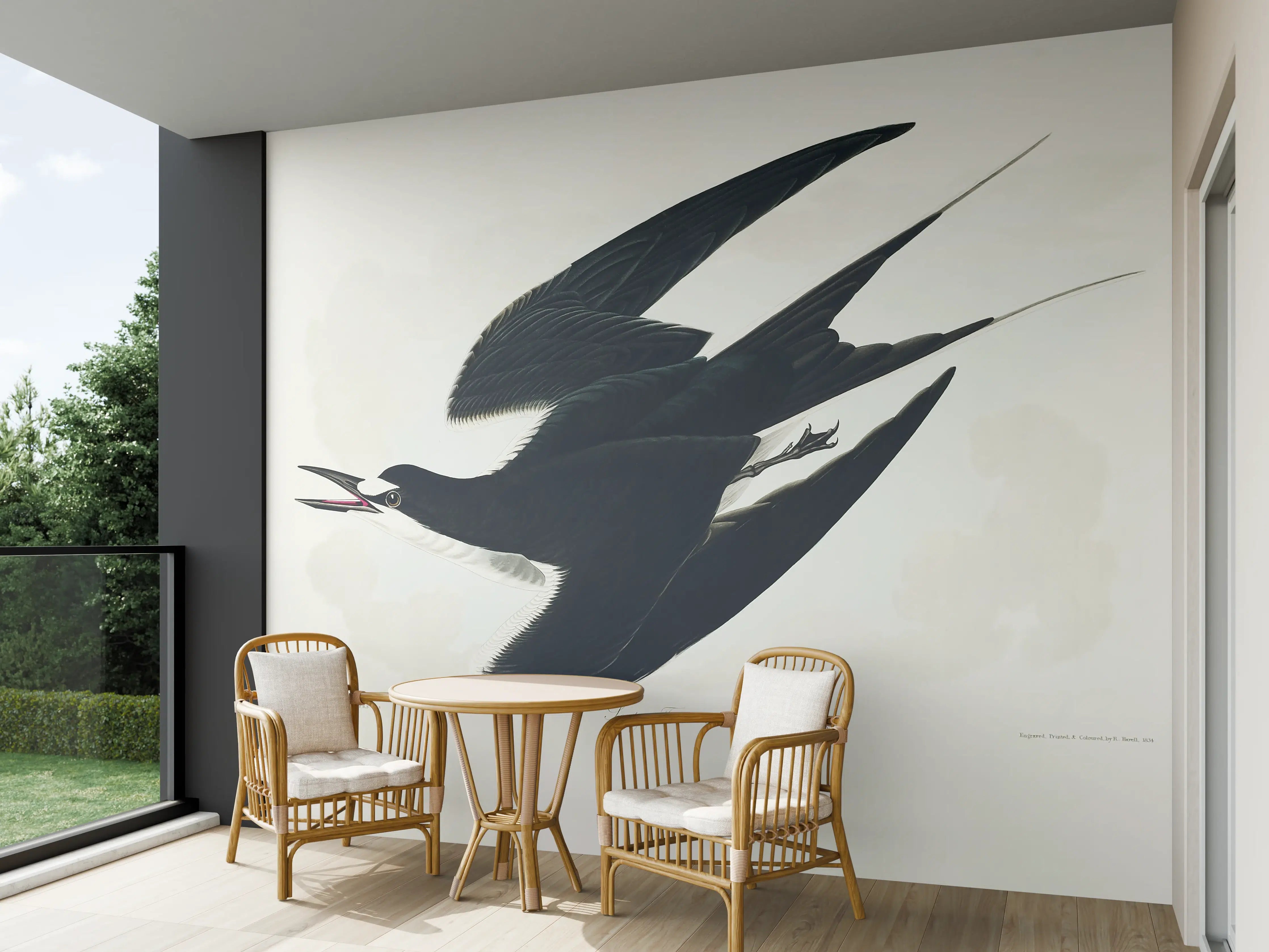 Wandverkleidung außen - Rußseeschwalbe Portrait - John James Audubon