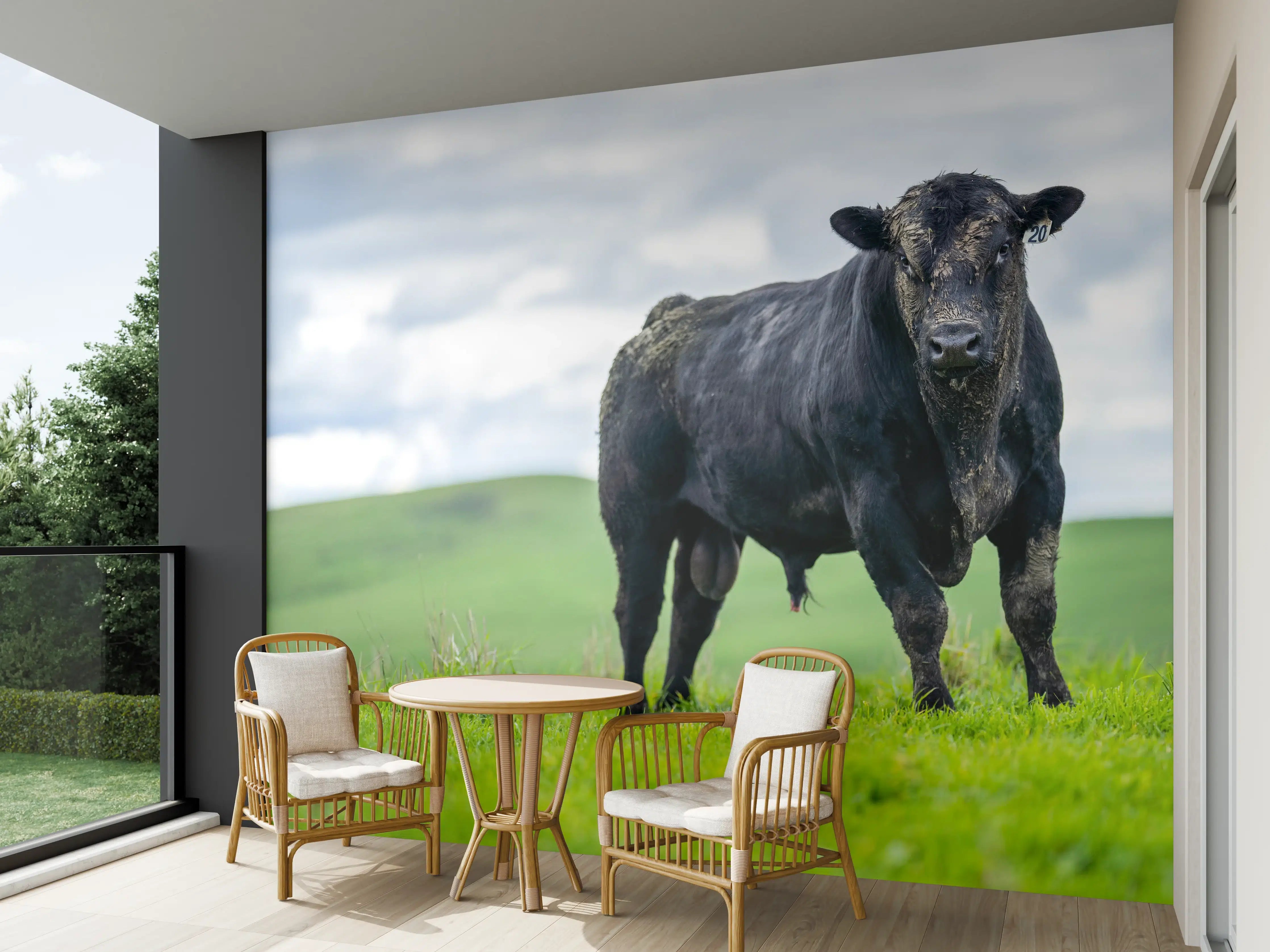 Wandverkleidung außen - Schmutziger Aberdeen Angus