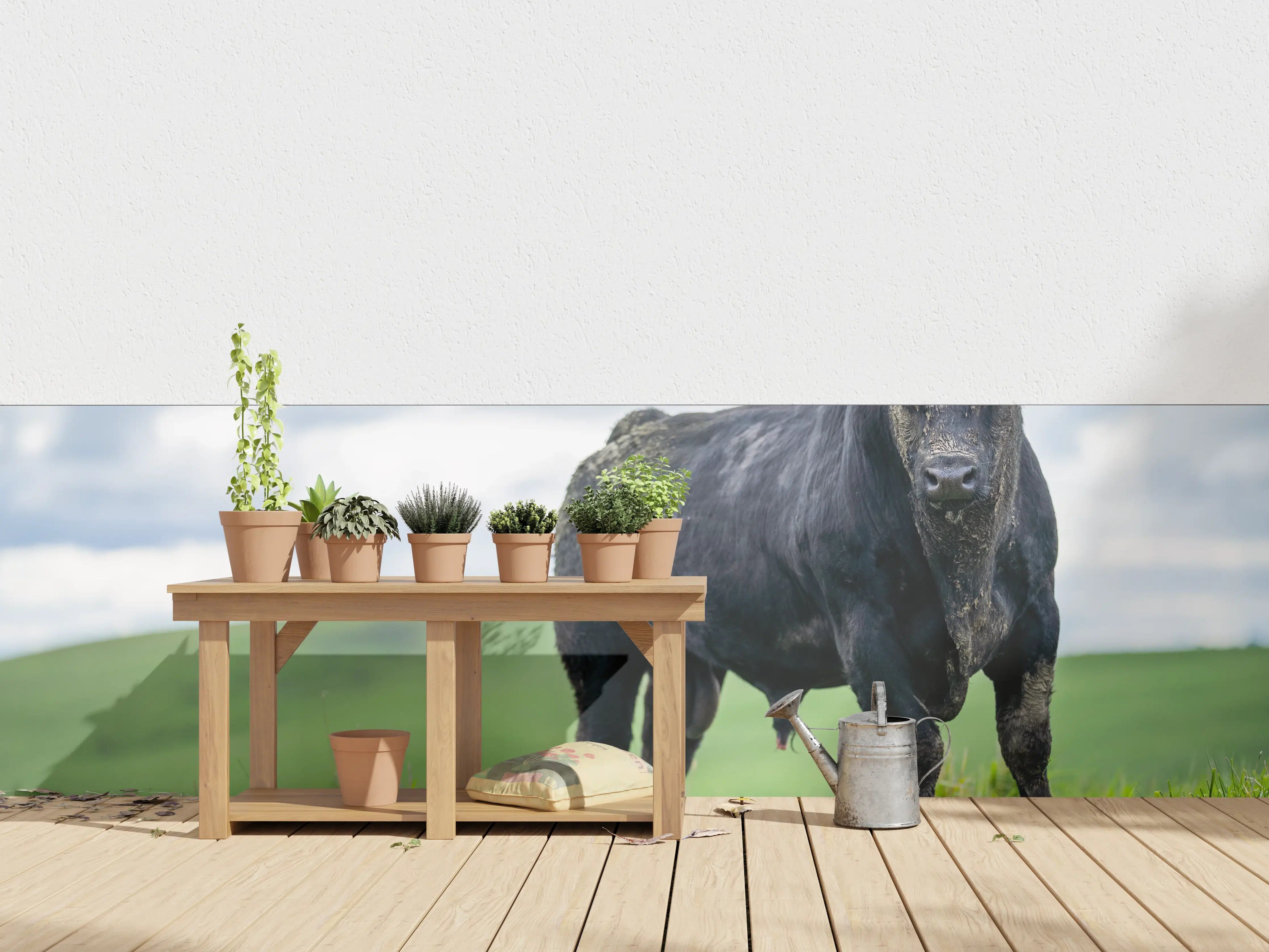 Wandverkleidung außen - Schmutziger Aberdeen Angus