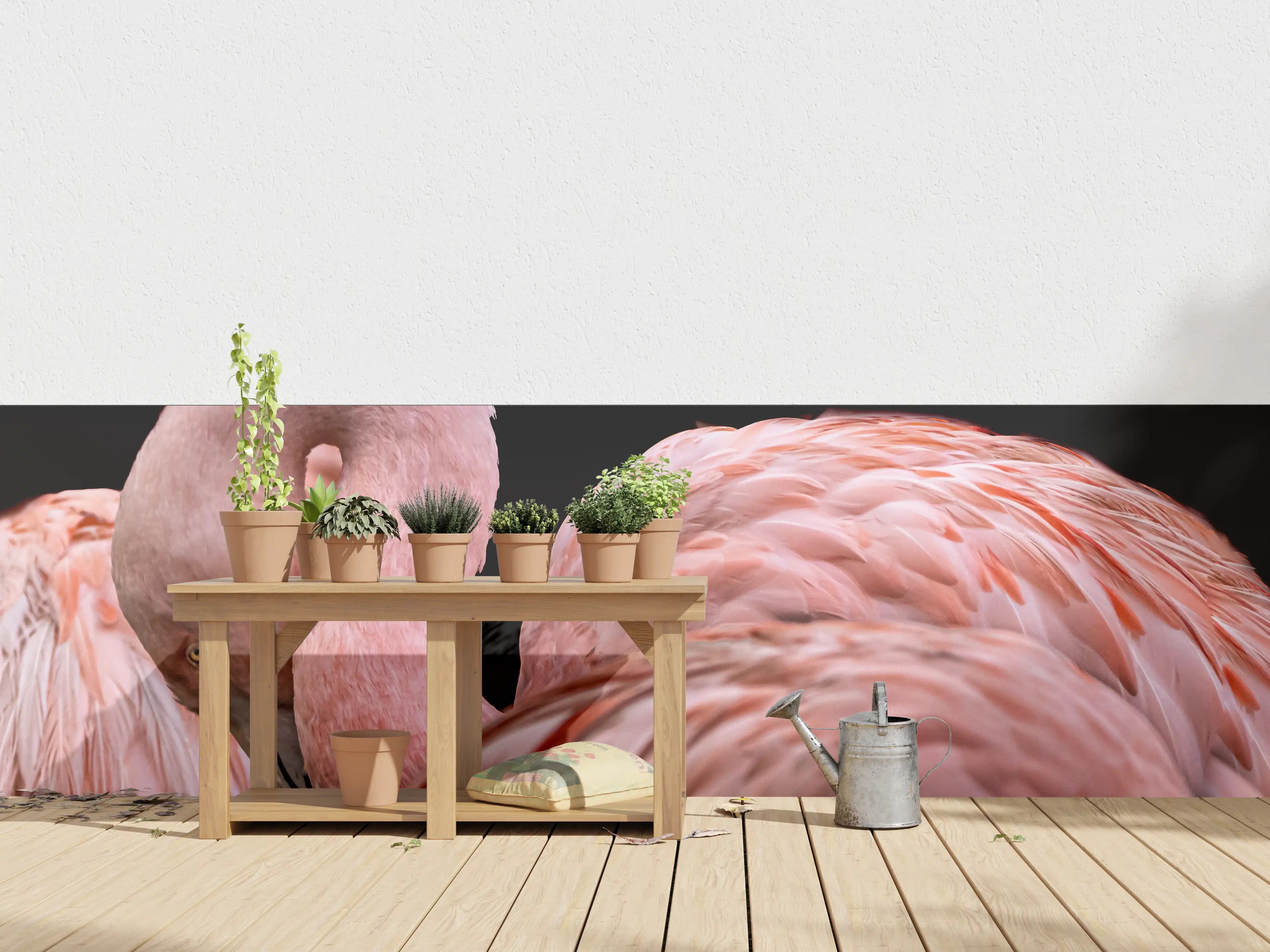 Wandverkleidung außen - Schnappschuss eines Flamingo