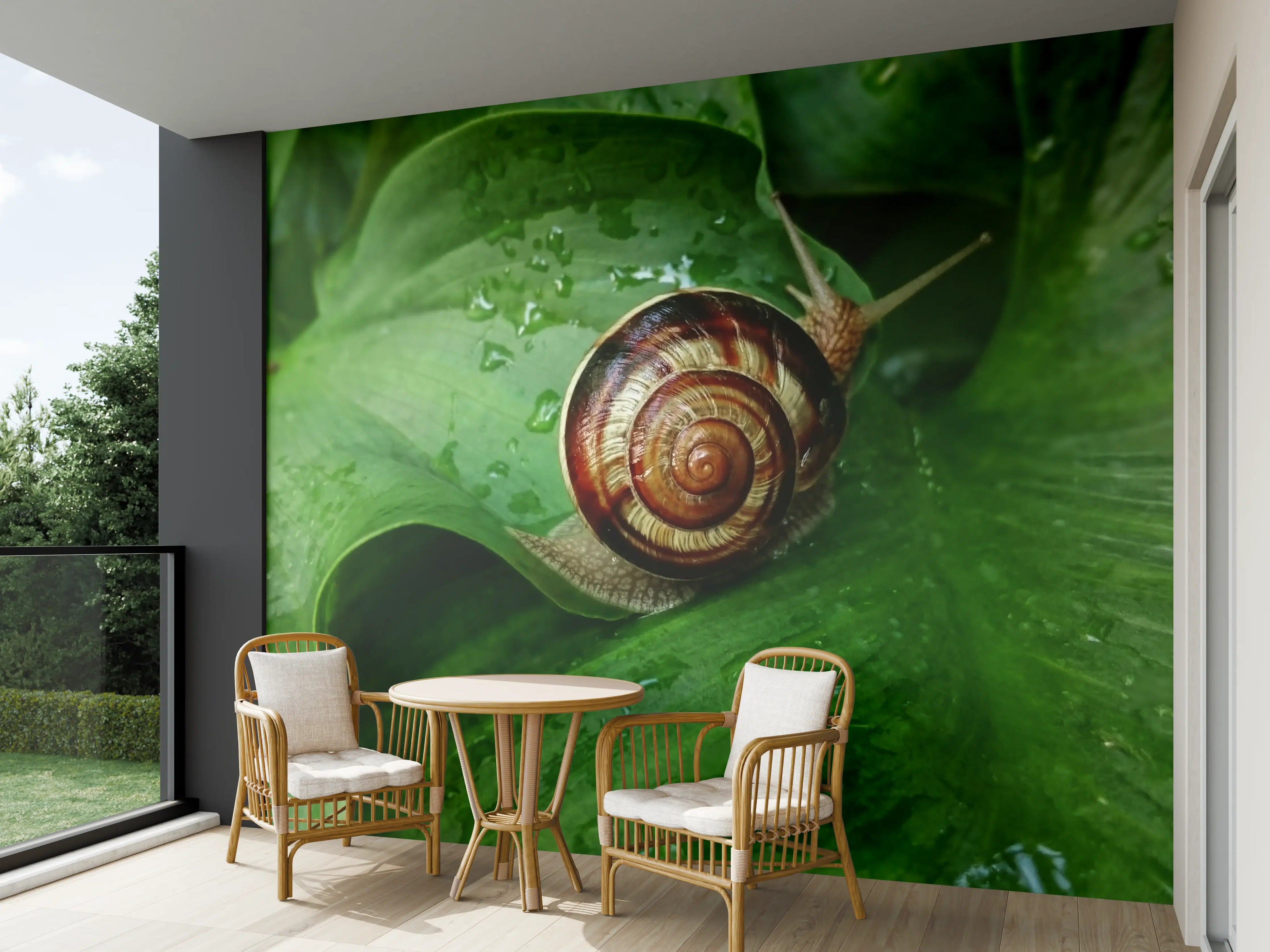 Wandverkleidung außen - Schnecke auf einem nassen Blatt