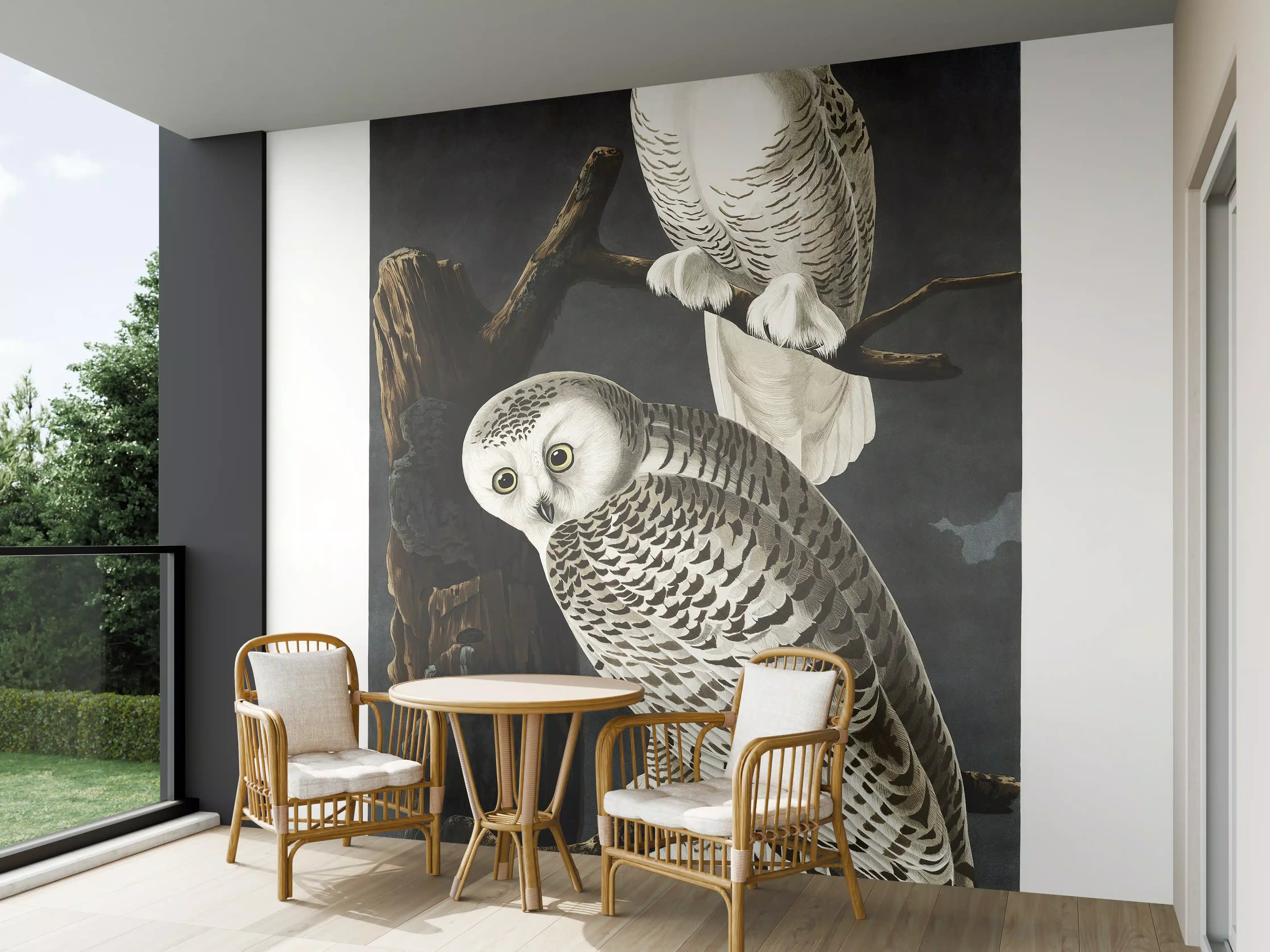 Wandverkleidung außen - Schneeweiße Eulen - John James Audubon
