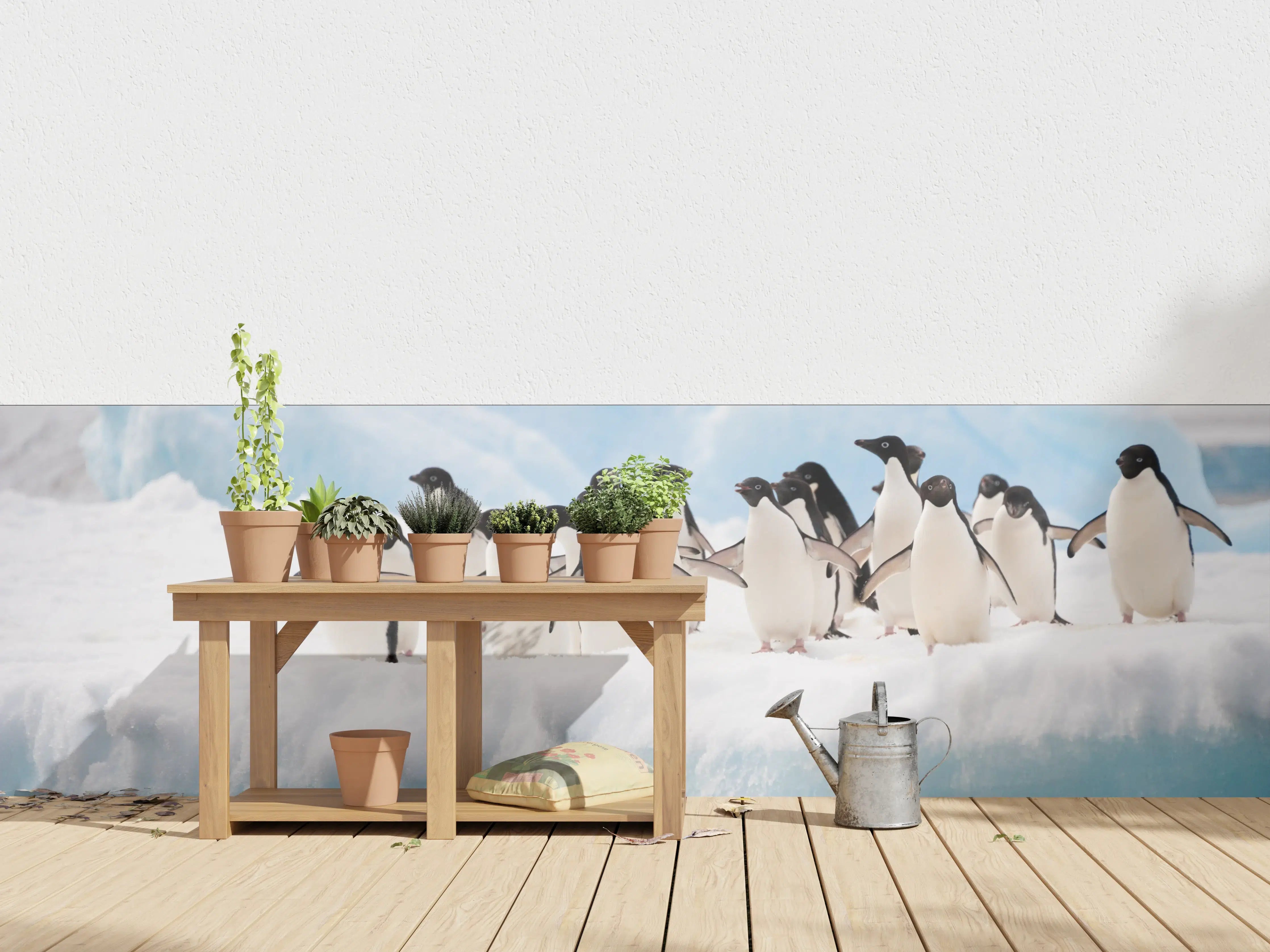 Wandverkleidung außen - Schwarz-weiße Pinguine auf Eisscholle