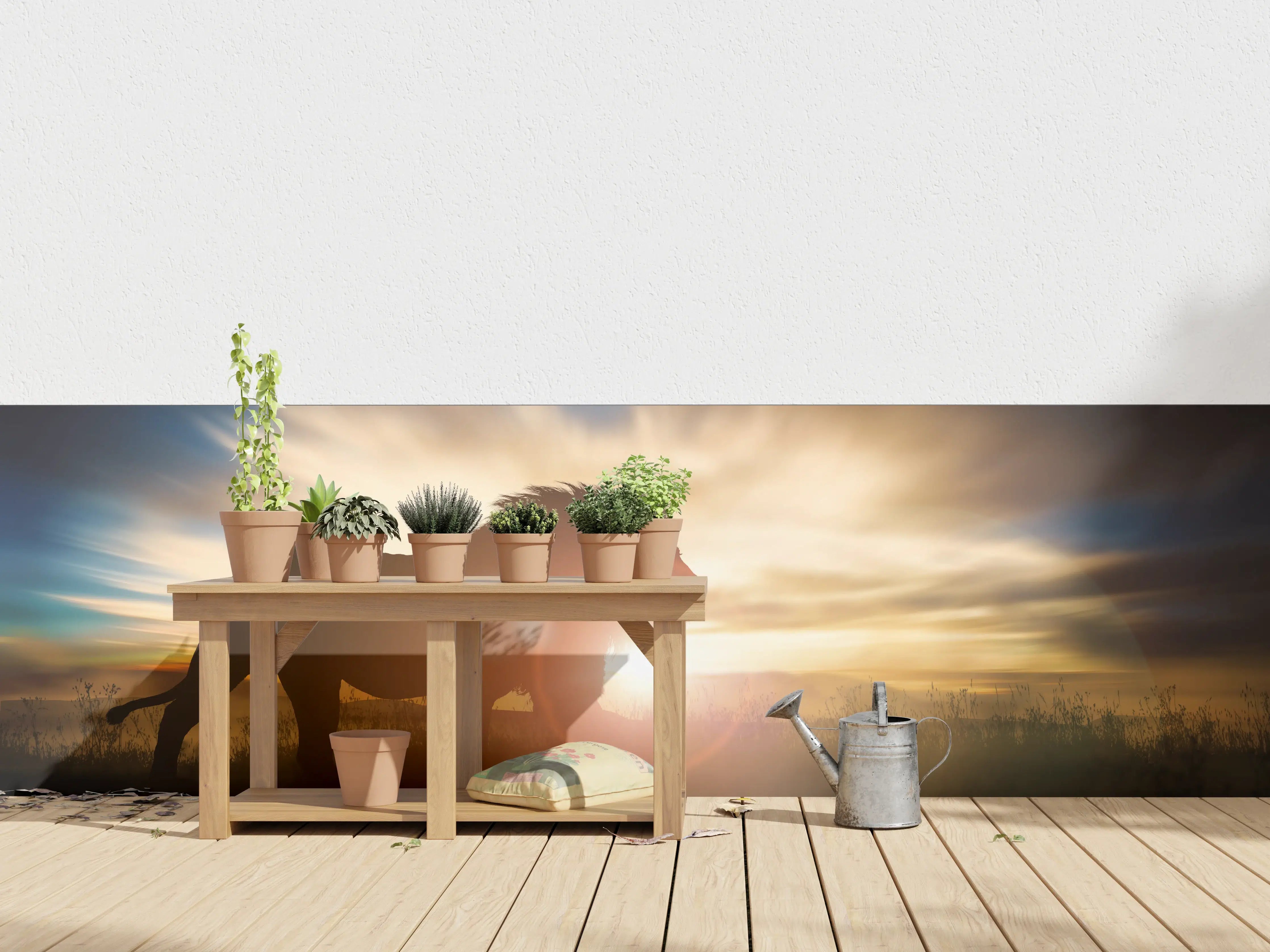 Wandverkleidung außen - Silhouette eines großen erwachsenen Löwen in Afrika