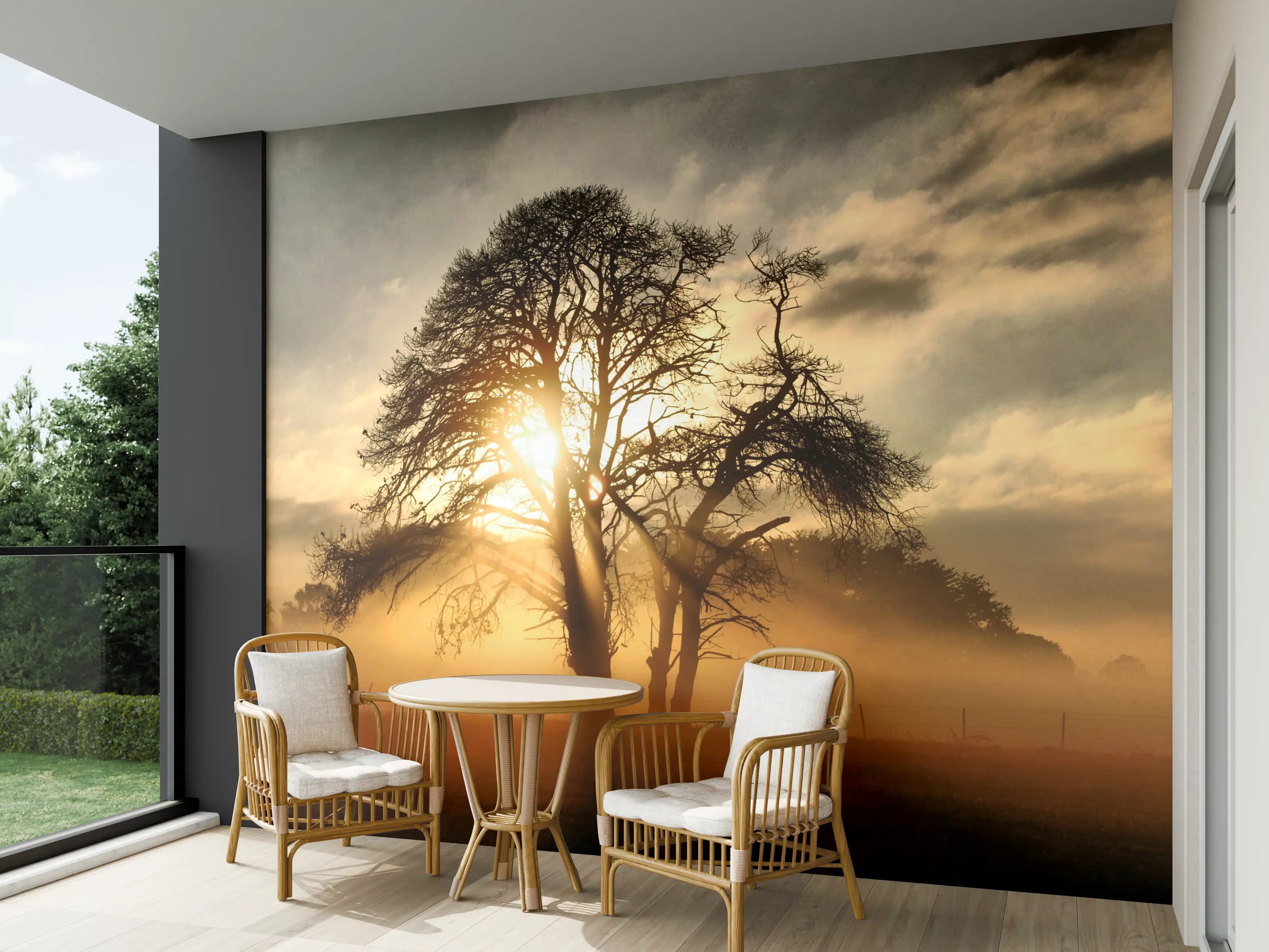 Wandverkleidung außen - Sonnenaufgang hinter Baum-Silhouette