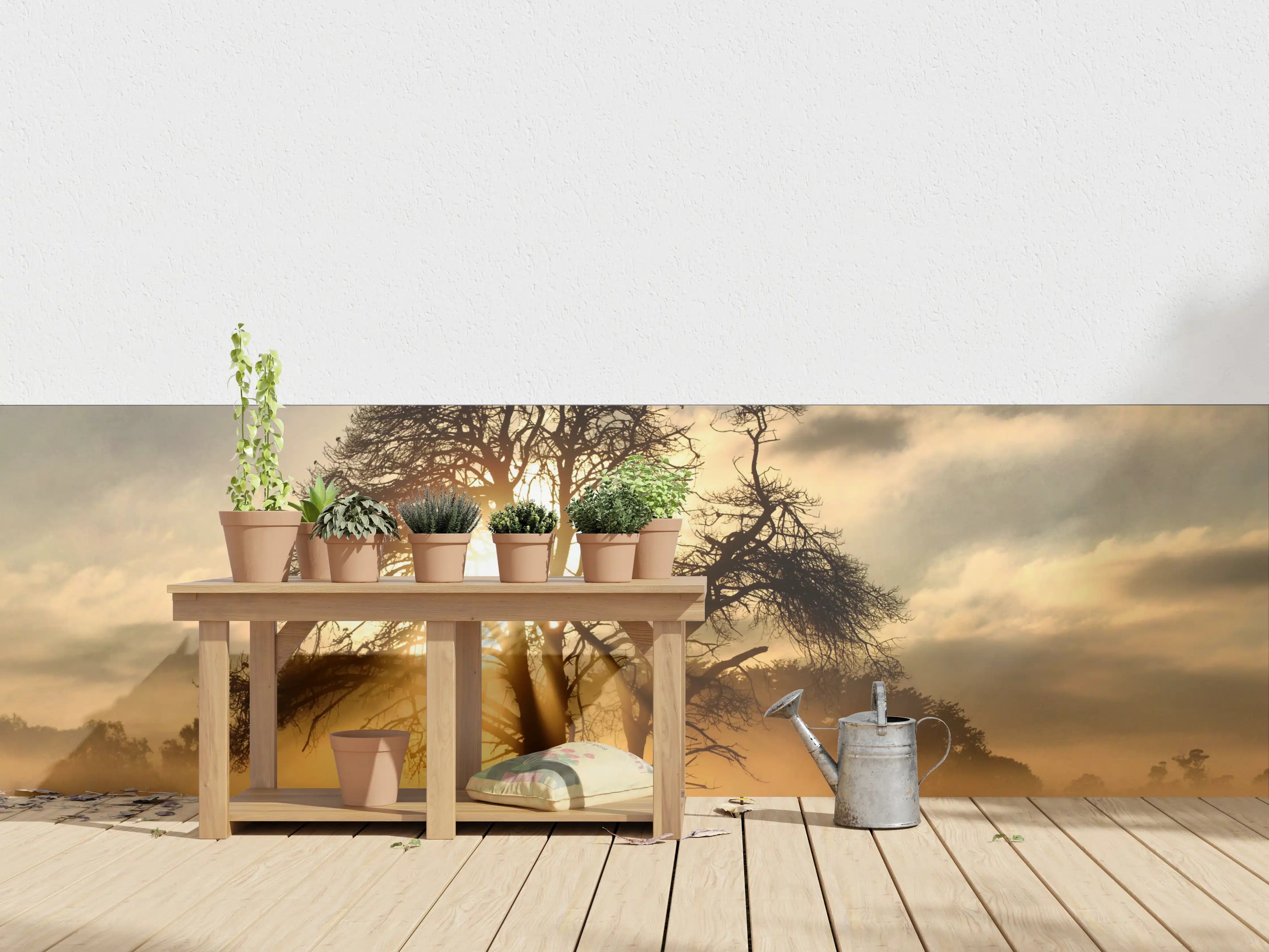 Wandverkleidung außen - Sonnenaufgang hinter Baum-Silhouette